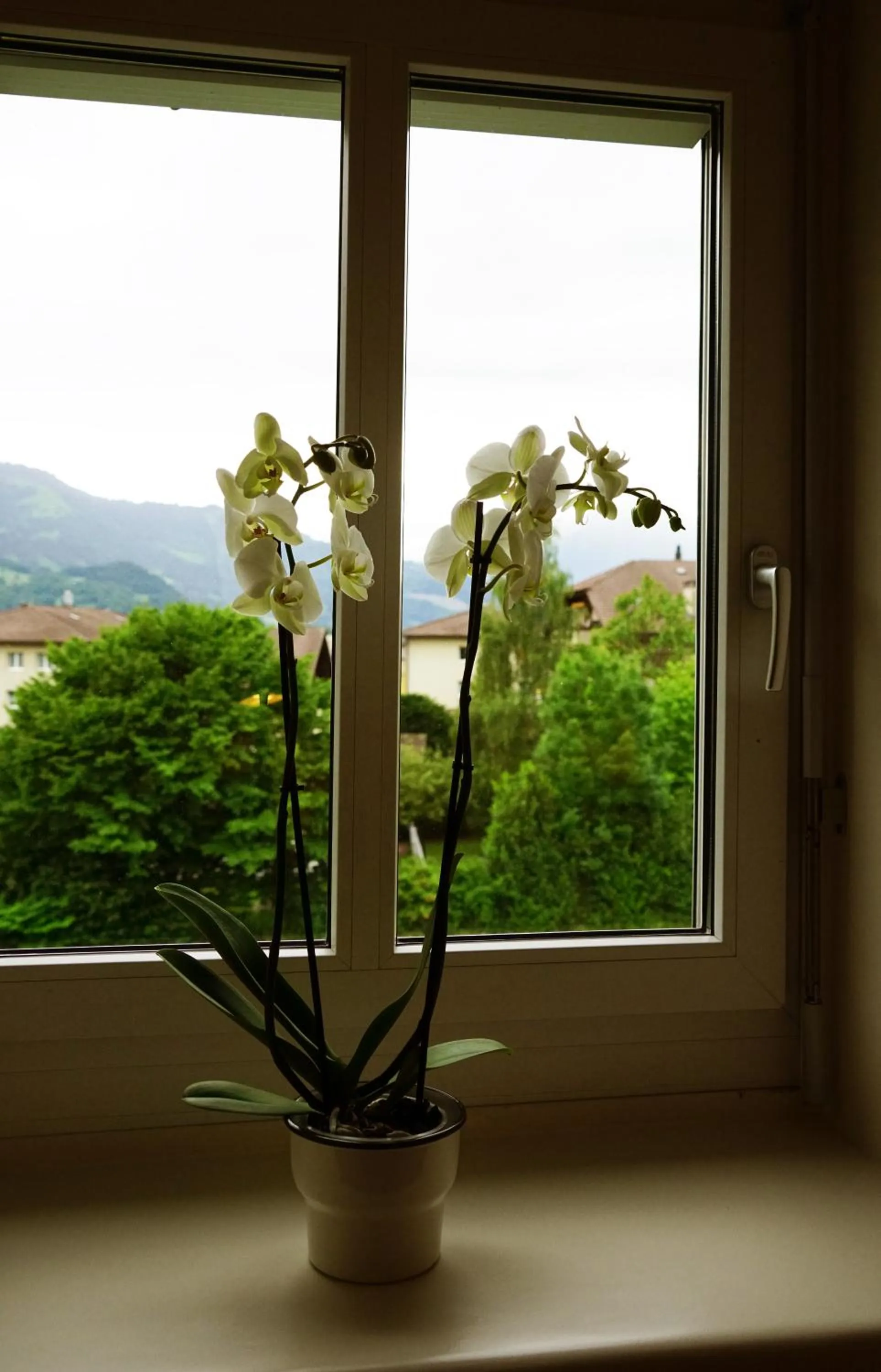 Decorative detail in Adventure Hostel Interlaken