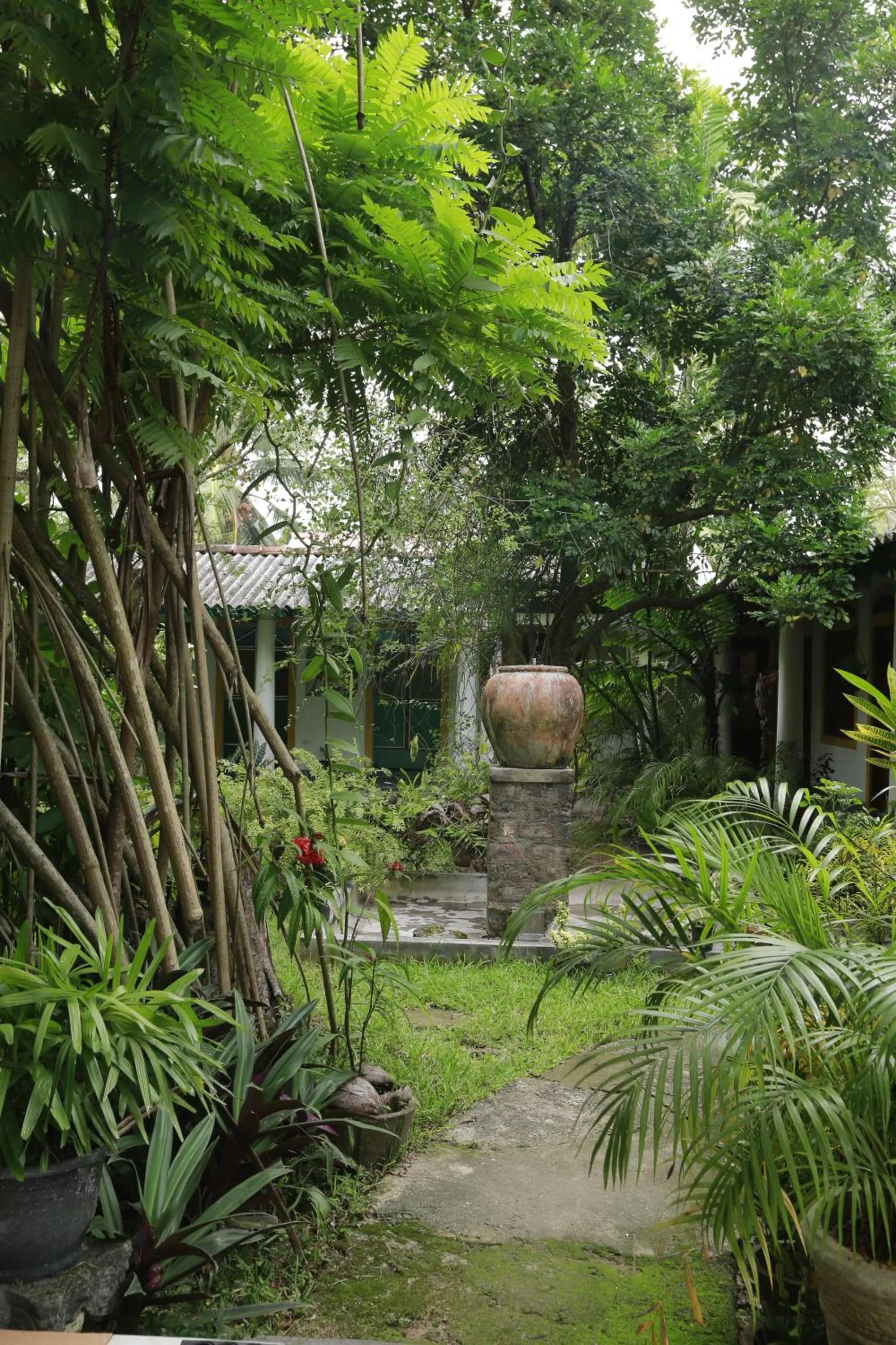 Natural landscape in Nooit Gedacht Heritage Hotel (Original Dutch Governors House)