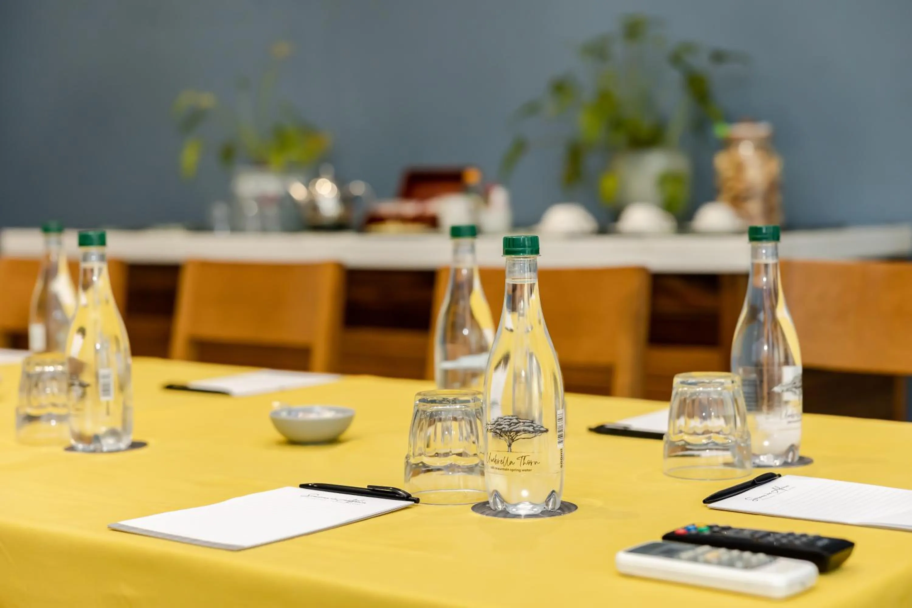 Meeting/conference room in Perry's Bridge Hollow Boutique Hotel