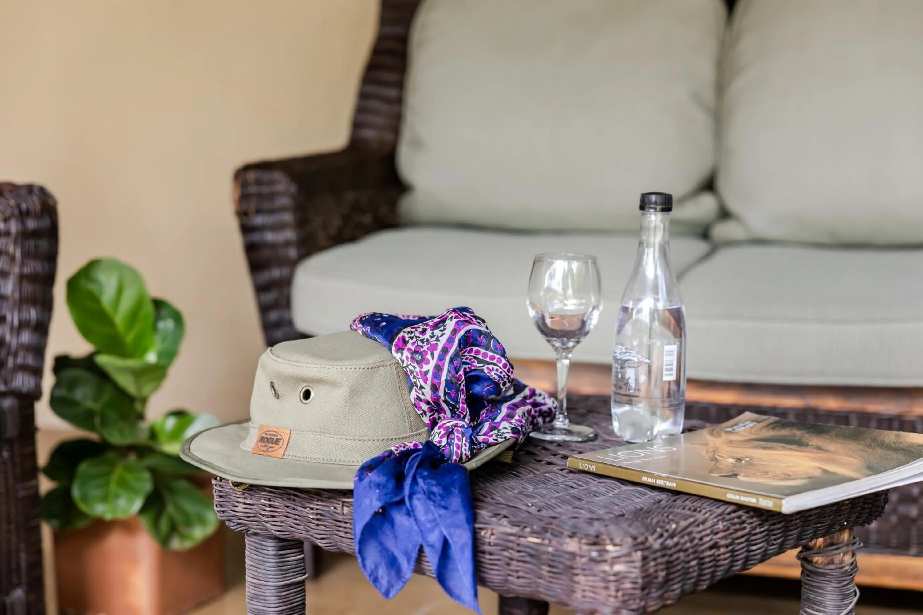 Garden view in Perry's Bridge Hollow Boutique Hotel