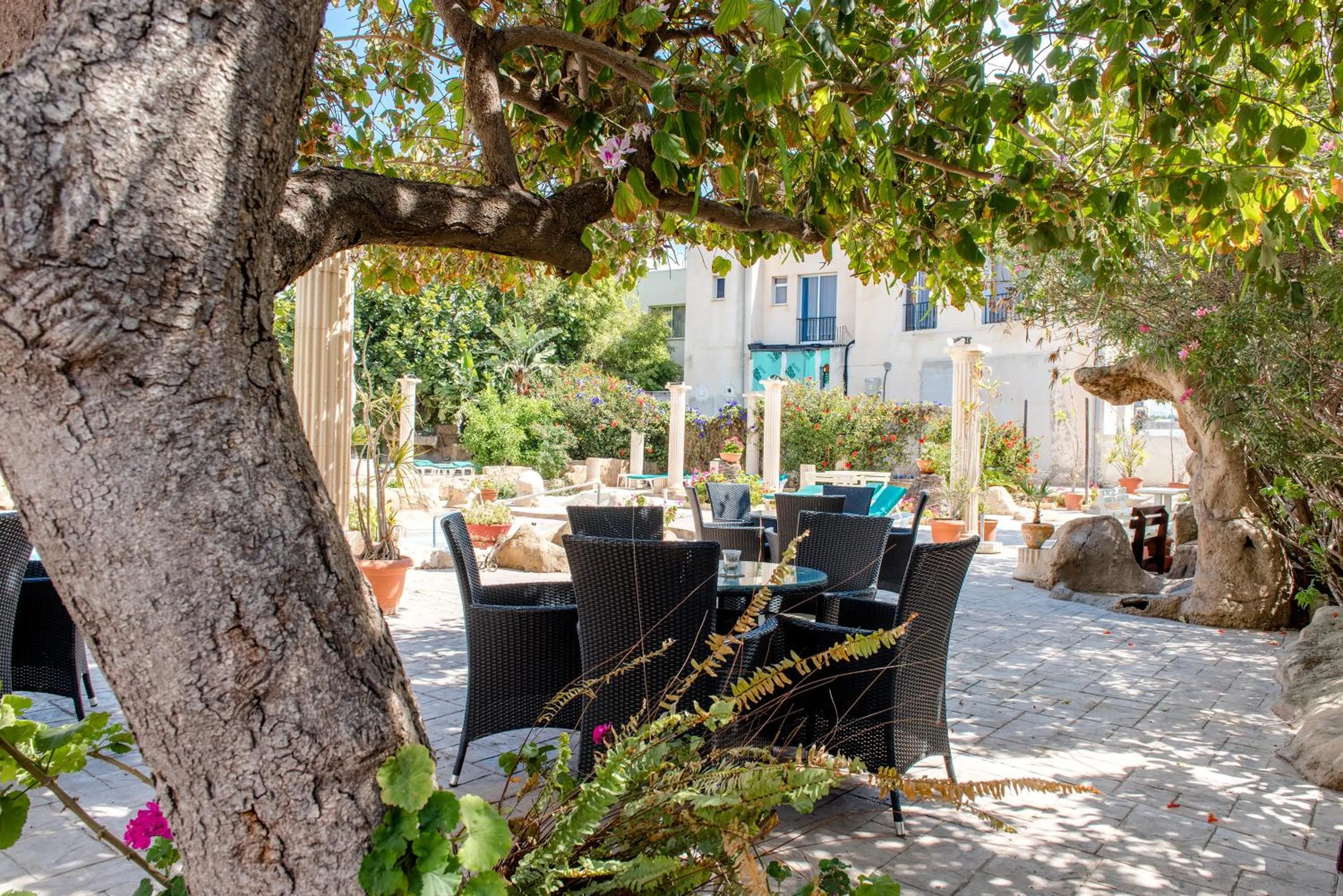 Garden in King's Hotel