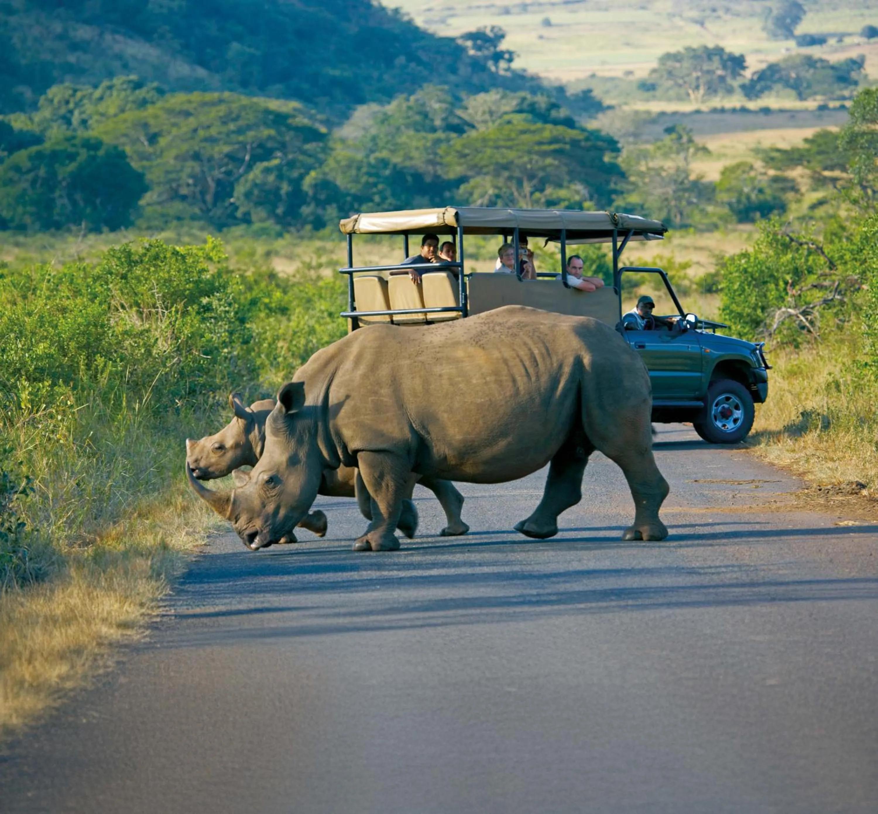 Activities in Hippo Hollow Country Estate