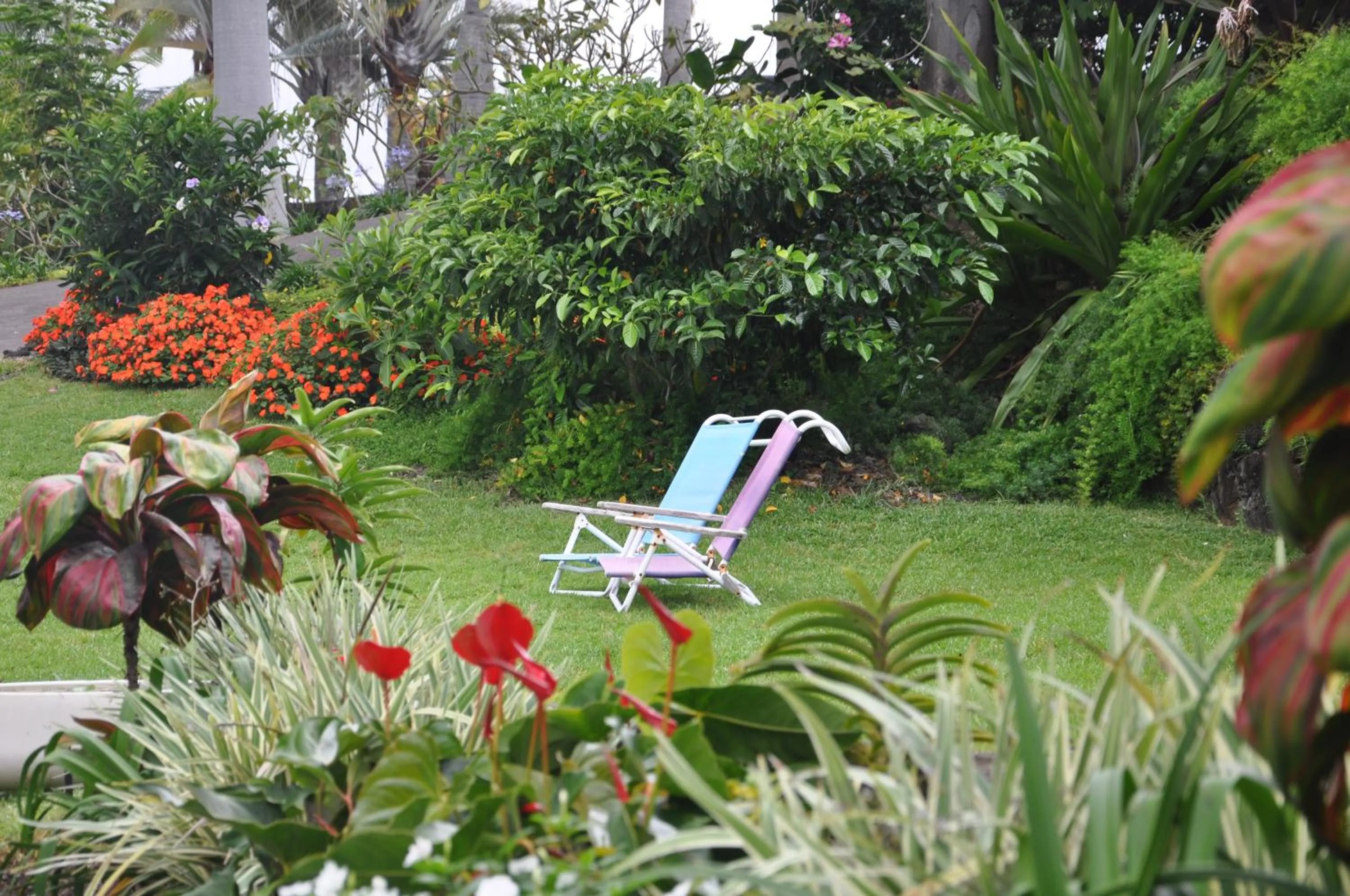 Property building in The Great Kona Escape