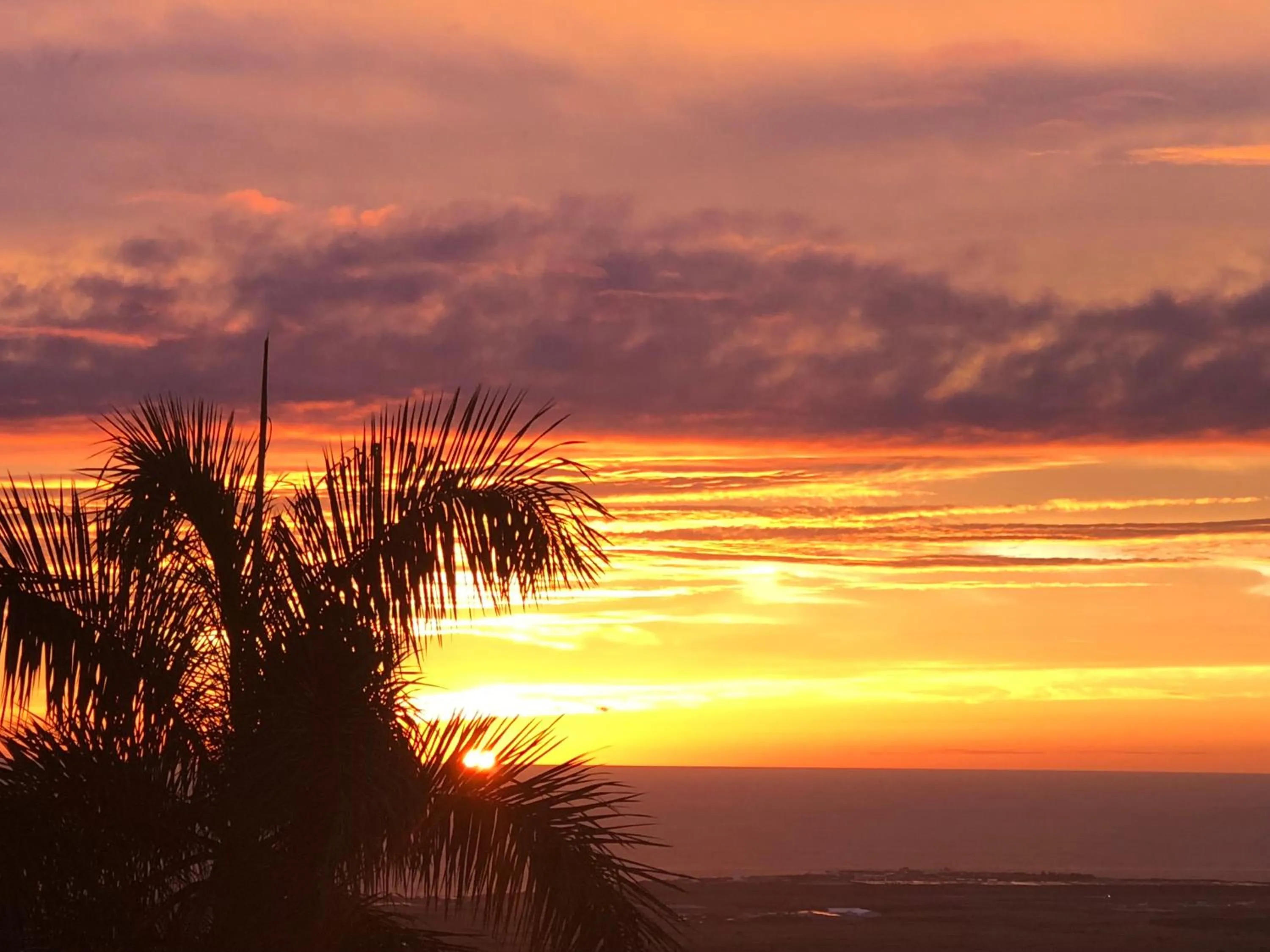 Property building in The Great Kona Escape