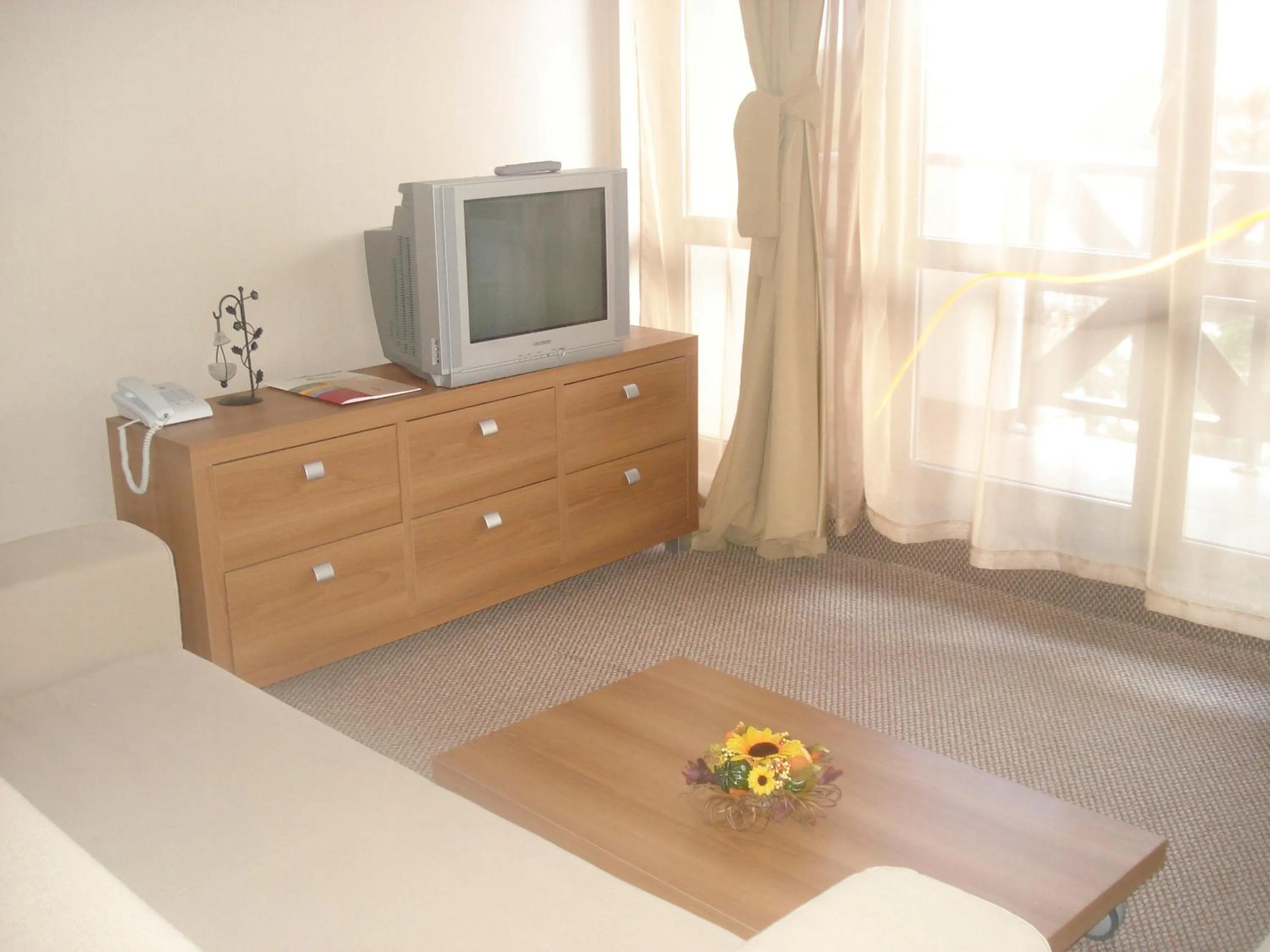 Living room in Snezhanka Apartments TMF