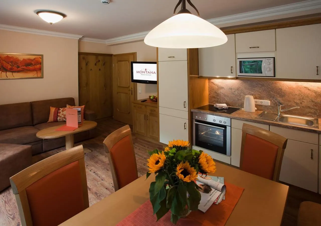 Kitchen or kitchenette in Wellness-Aparthotel Montana