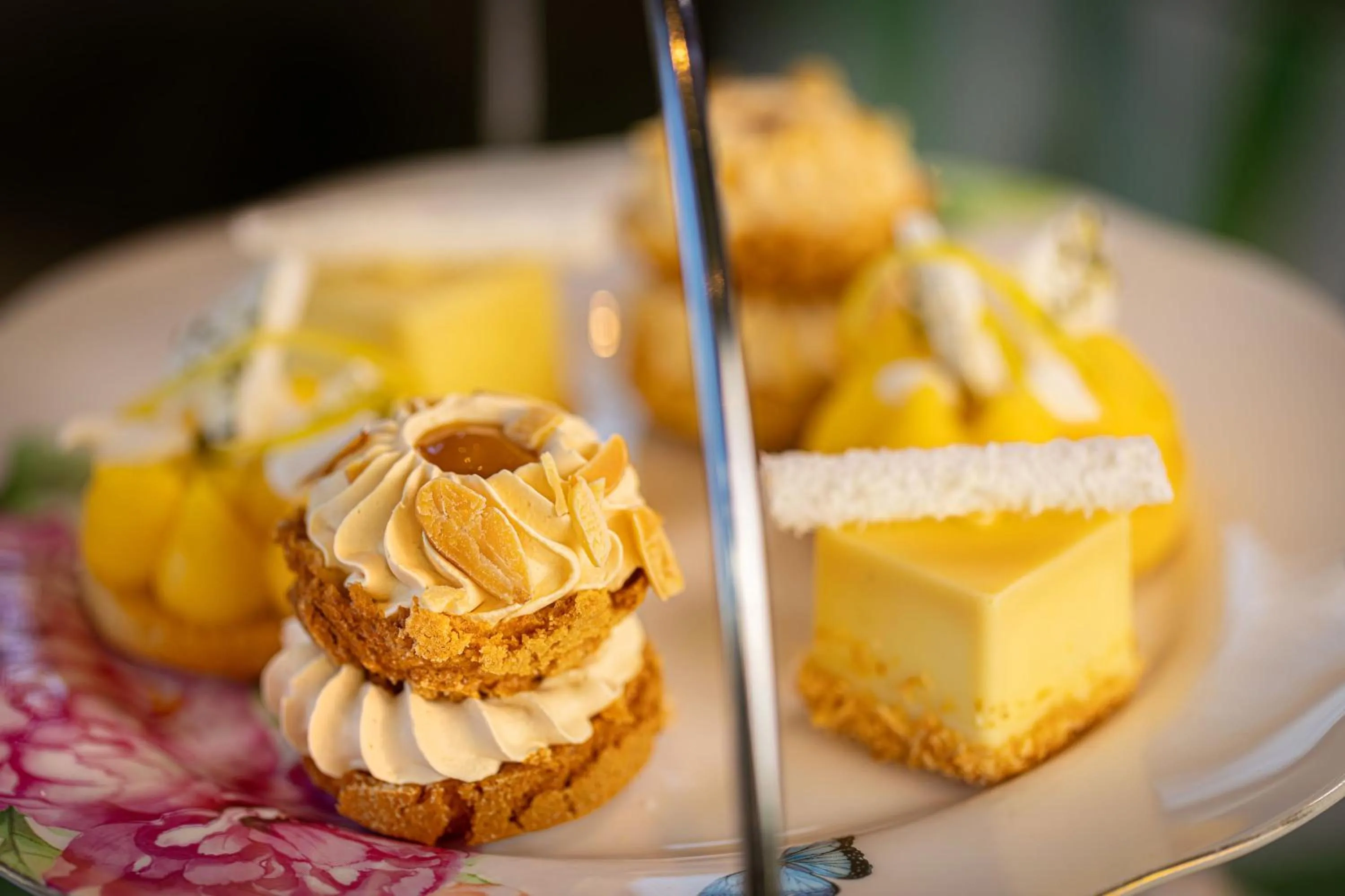 Restaurant/places to eat in The Old Government House Hotel & Spa