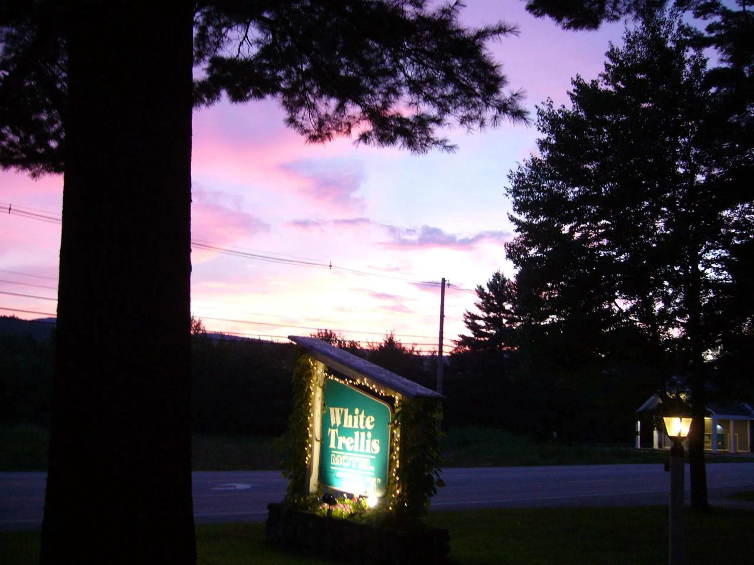 Other in White Trellis Motel