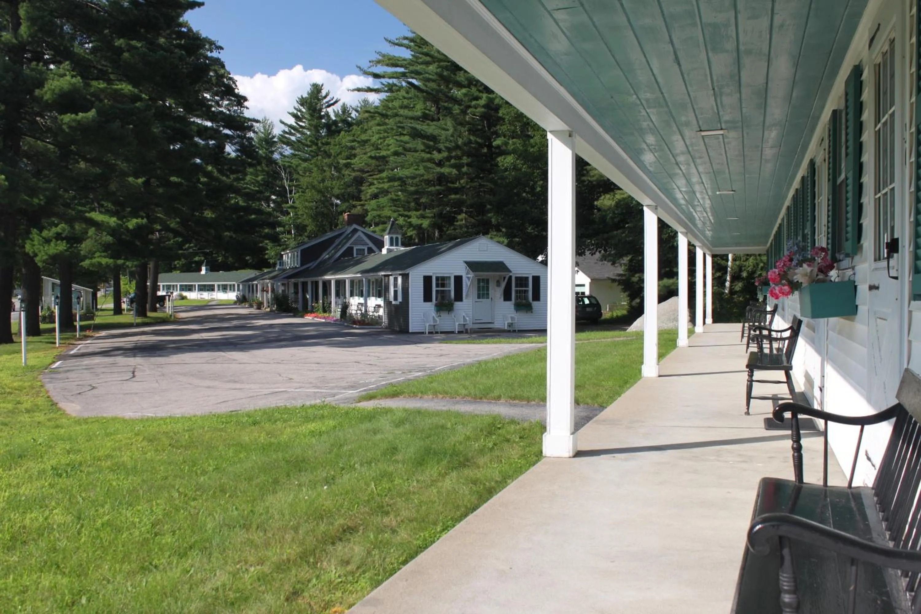 Patio in White Trellis Motel
