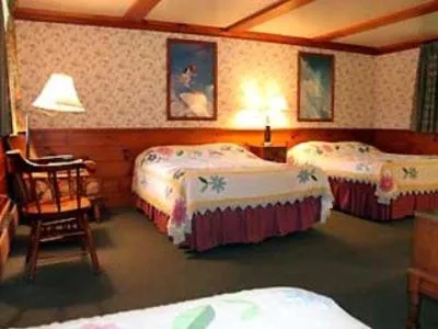 Photo of the whole room in White Trellis Motel
