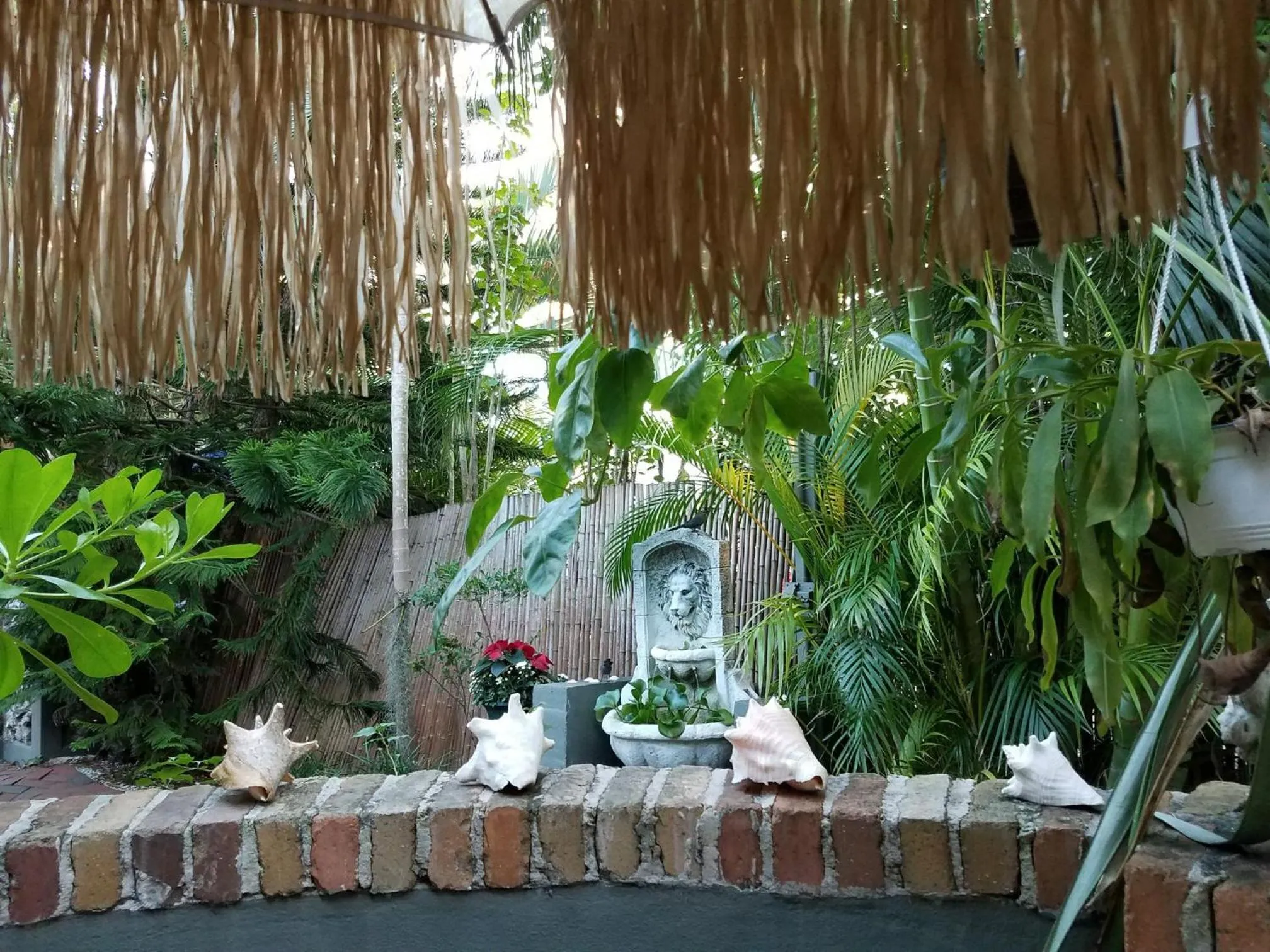 Garden in Suite Dreams Inn by the Beach