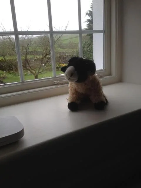 View (from property/room) in The Rowe House