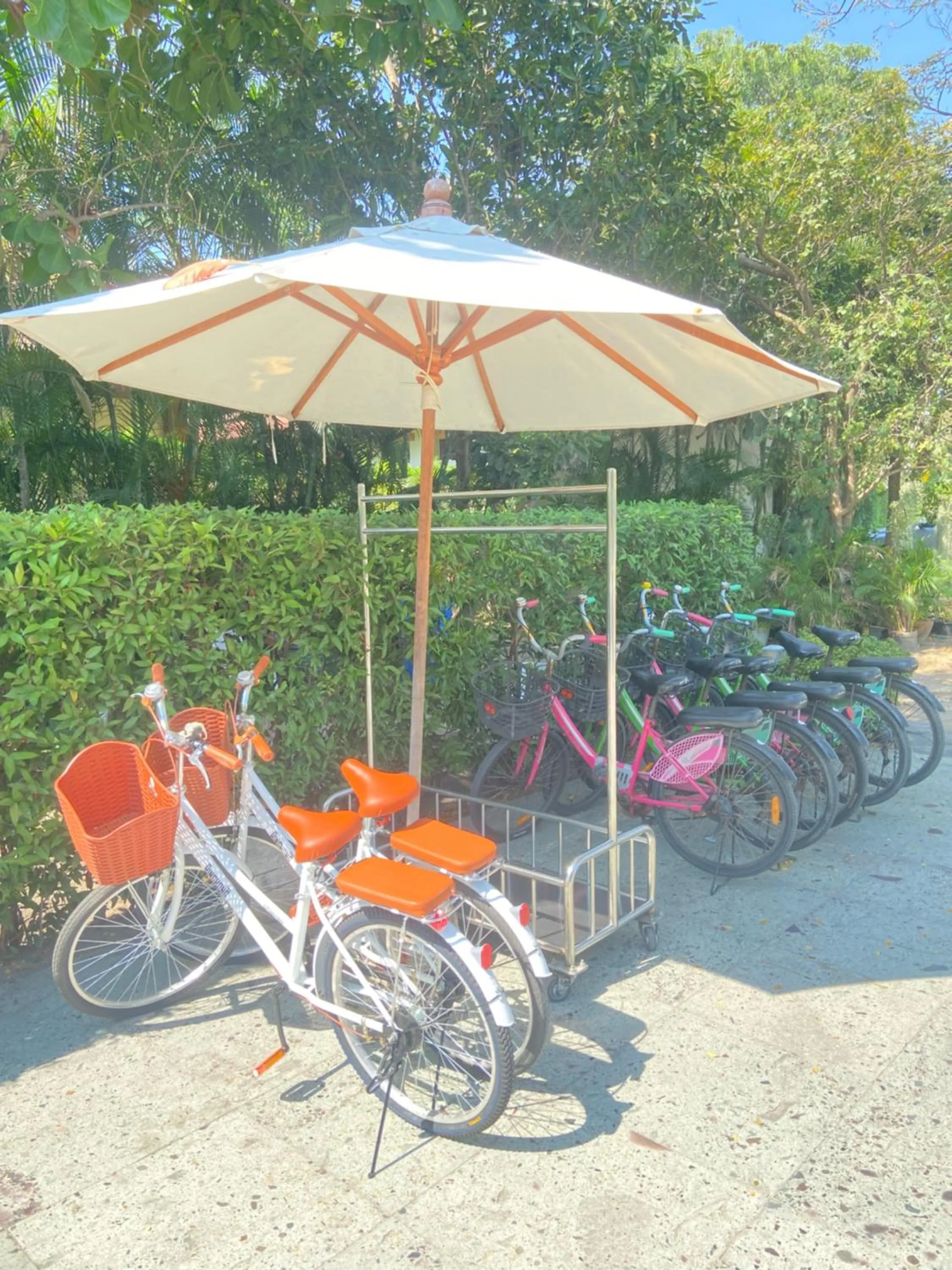 Cycling in Triple Tree Beach Resort