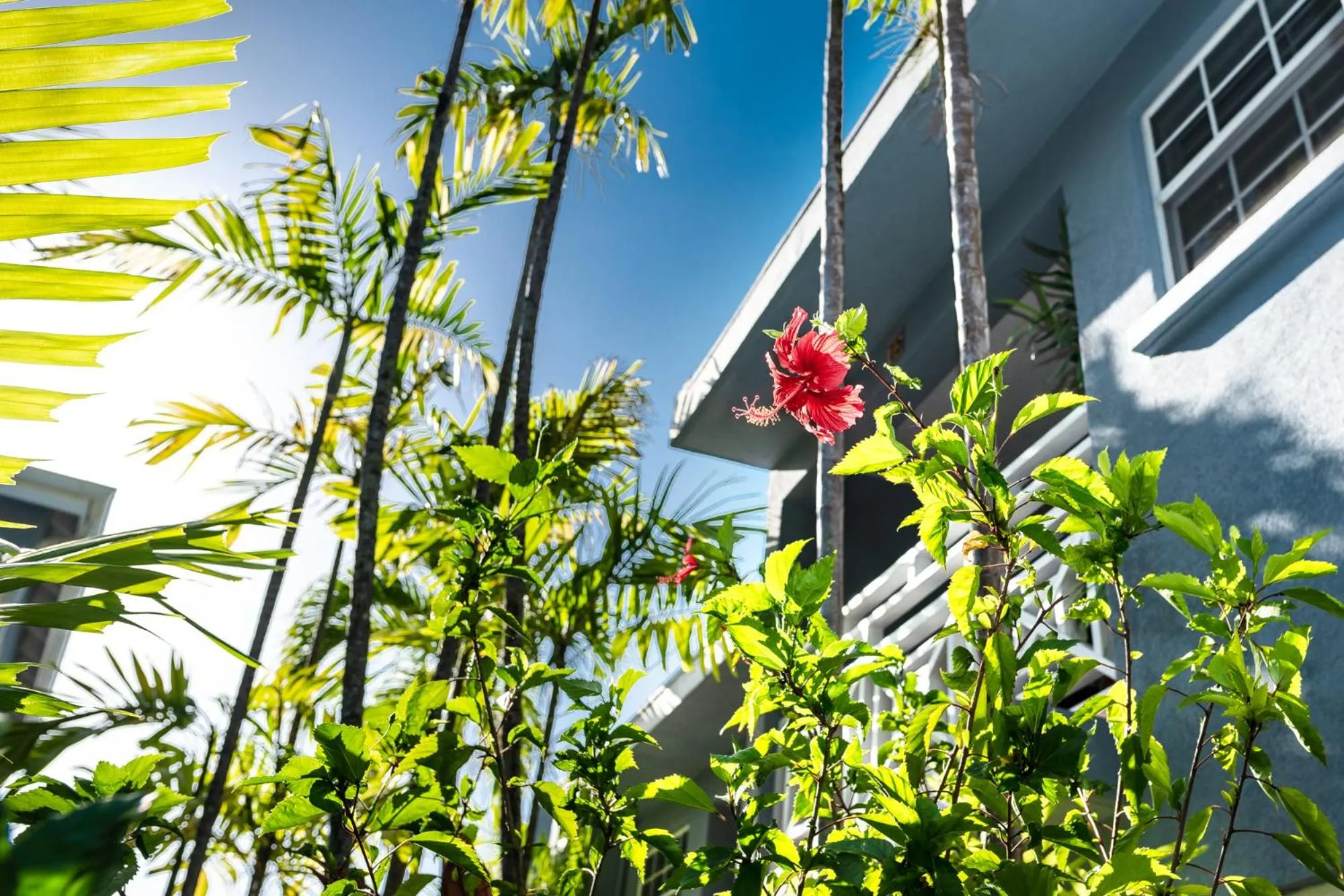 Garden in The Palms Resort
