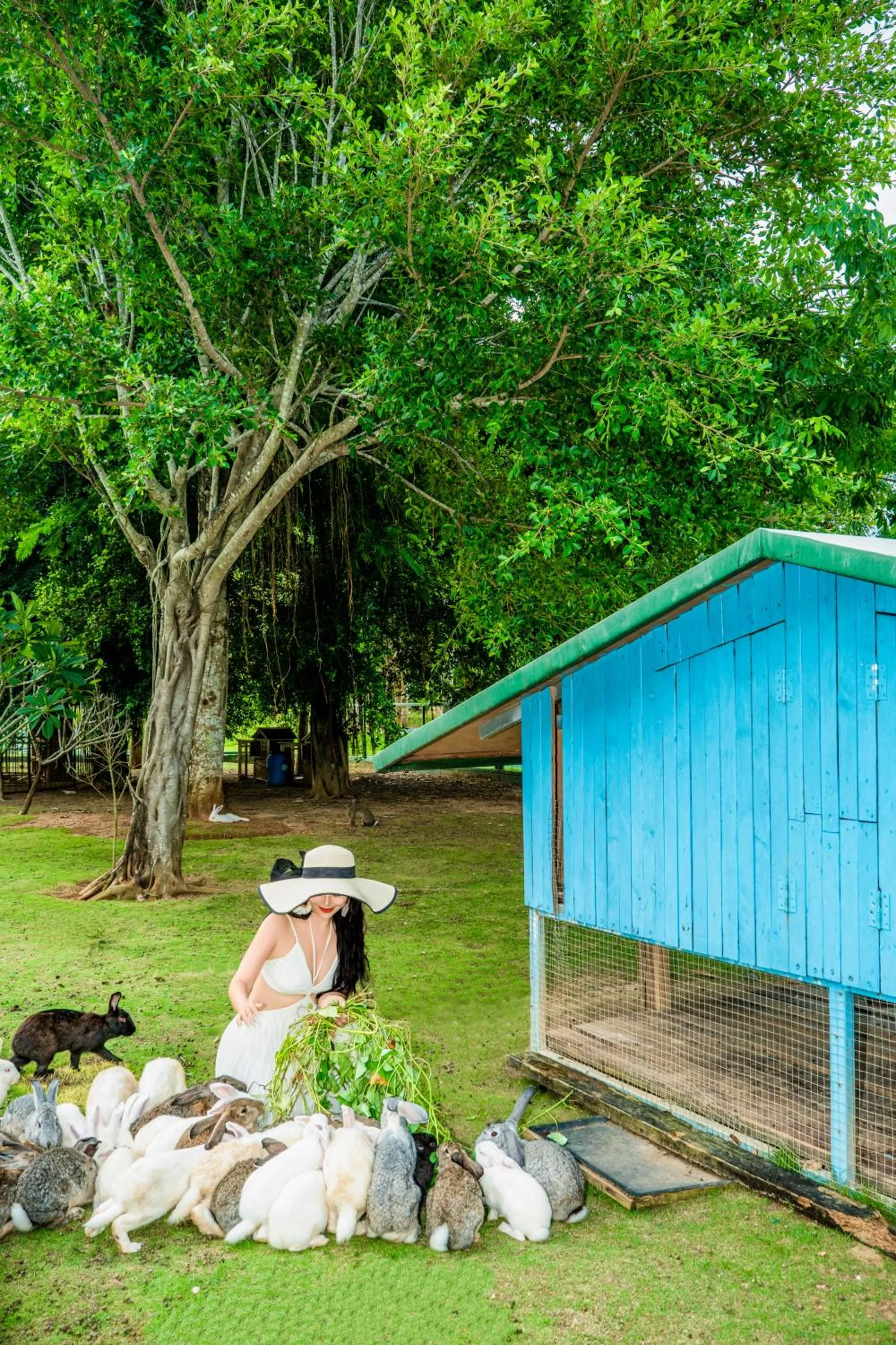 Animals in Doubletree Resort By Hilton Hainan - Xinglong Lakeside