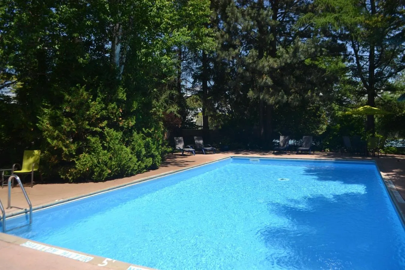 Swimming pool in Stratford Suburban Motel