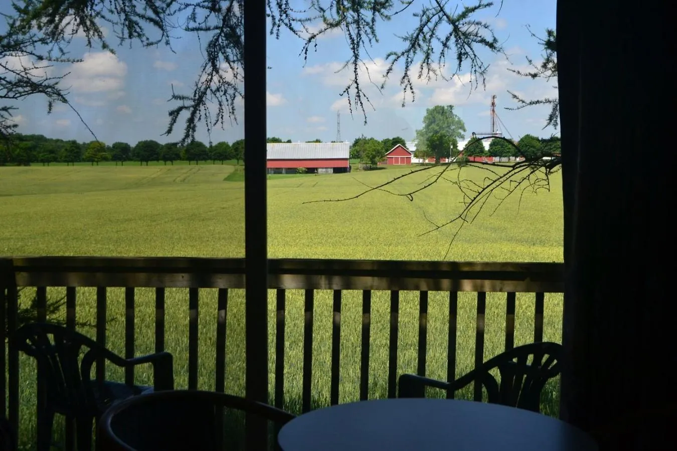 View (from property/room) in Stratford Suburban Motel