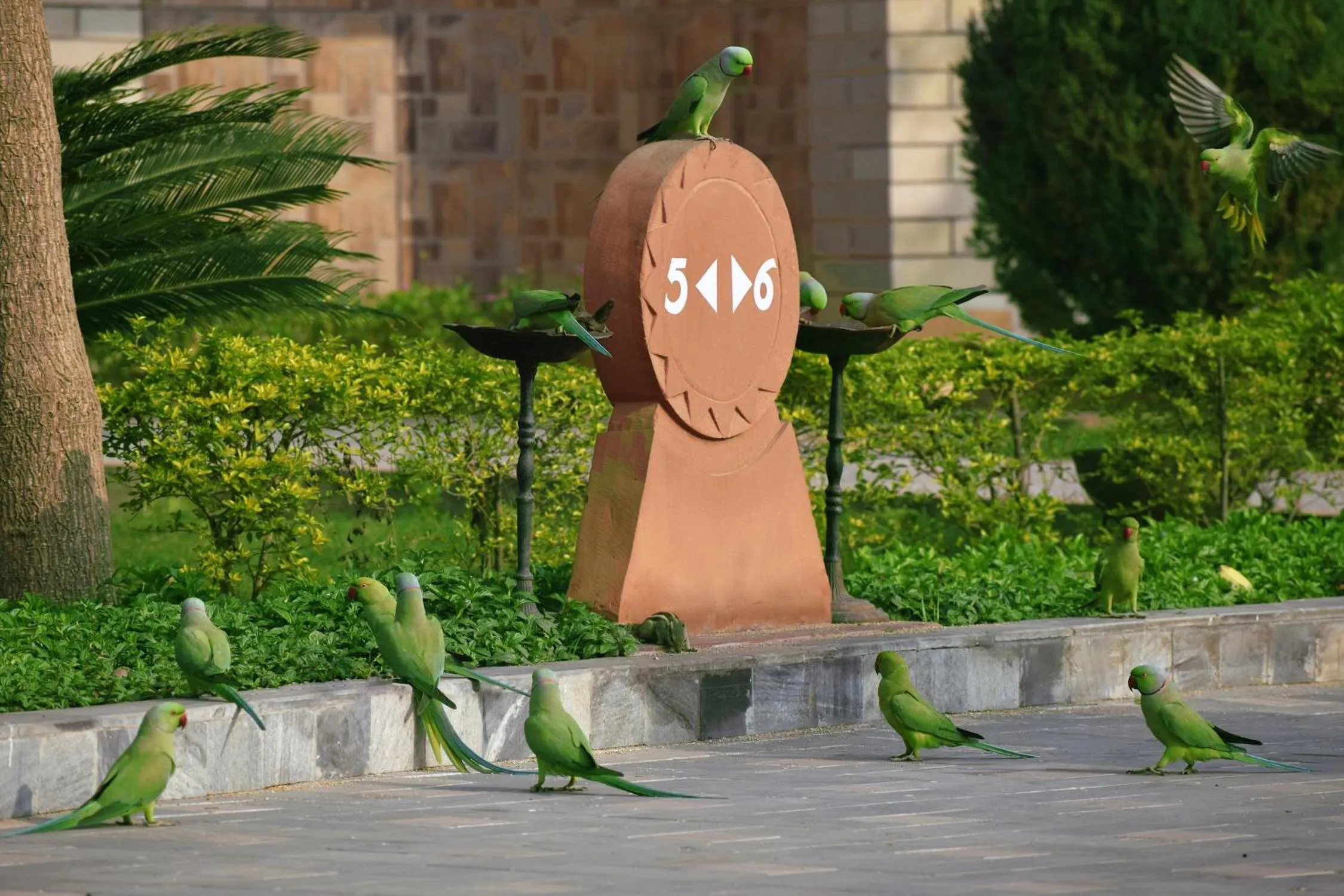 Decorative detail in Shri Radha Brij Vasundhara Resort & Spa