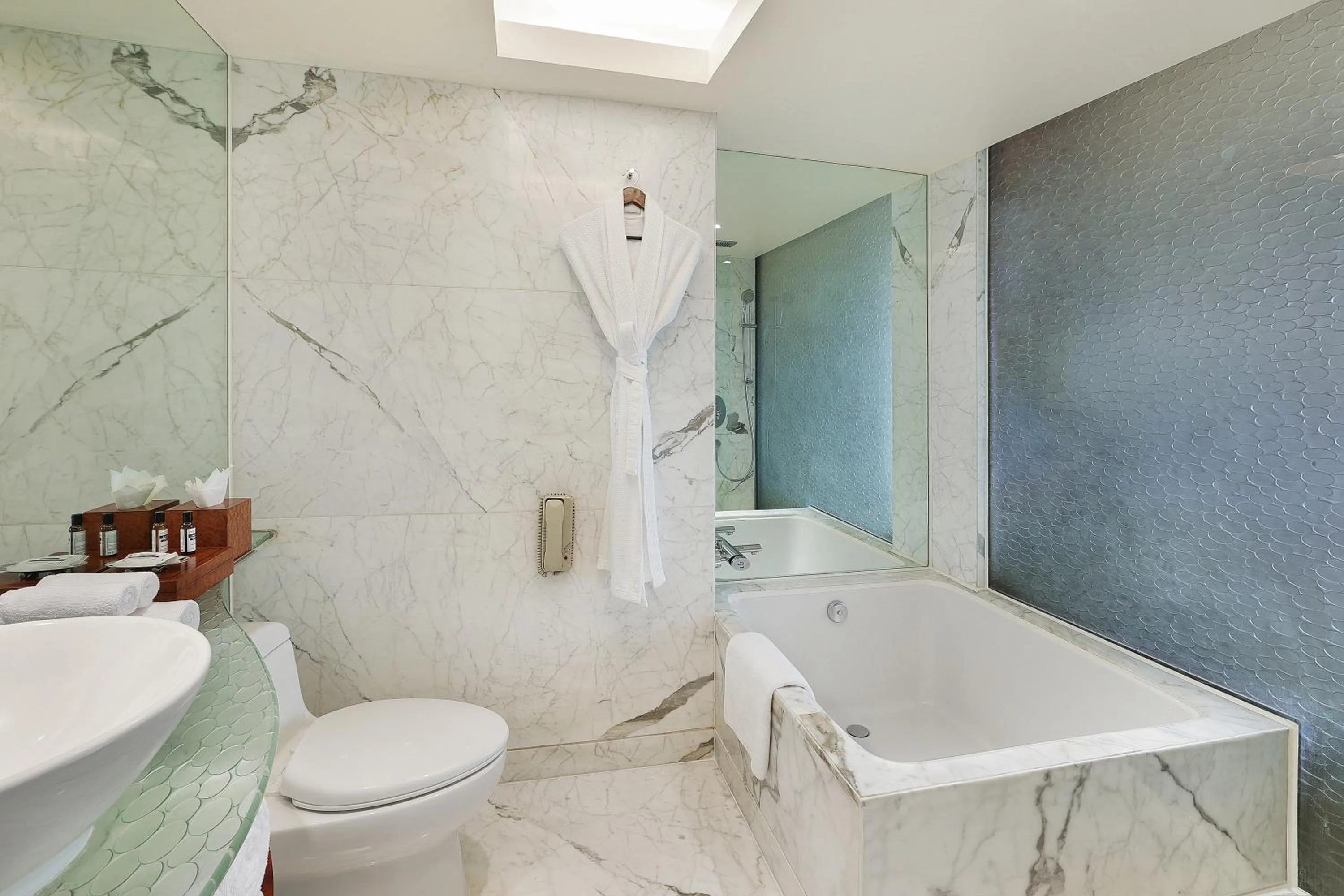 Shower in Hyatt Regency Delhi