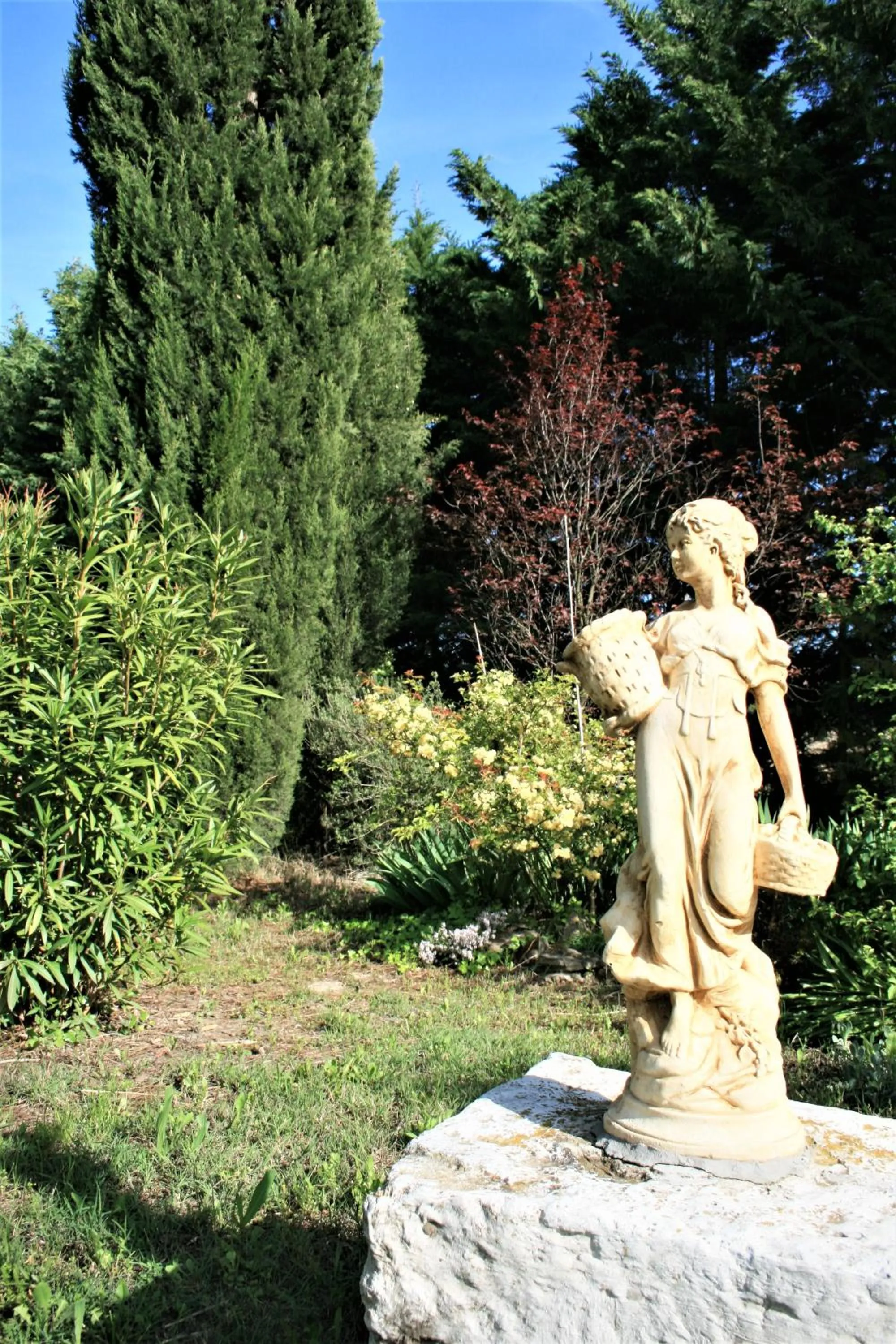 Garden in Le Mas De La Cigale Bleue, Caumont Sur Durance