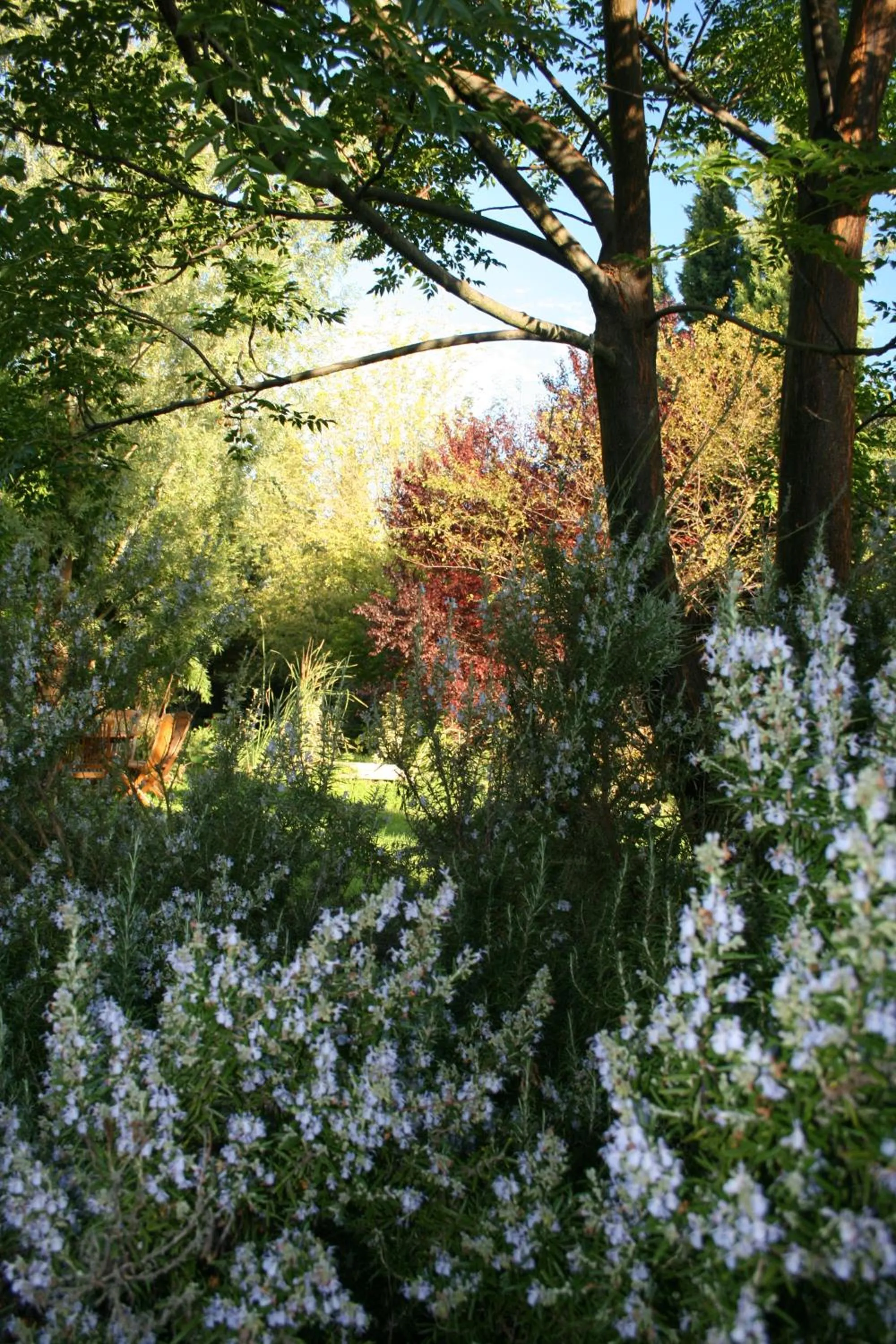Garden view in Le Mas De La Cigale Bleue, Caumont Sur Durance