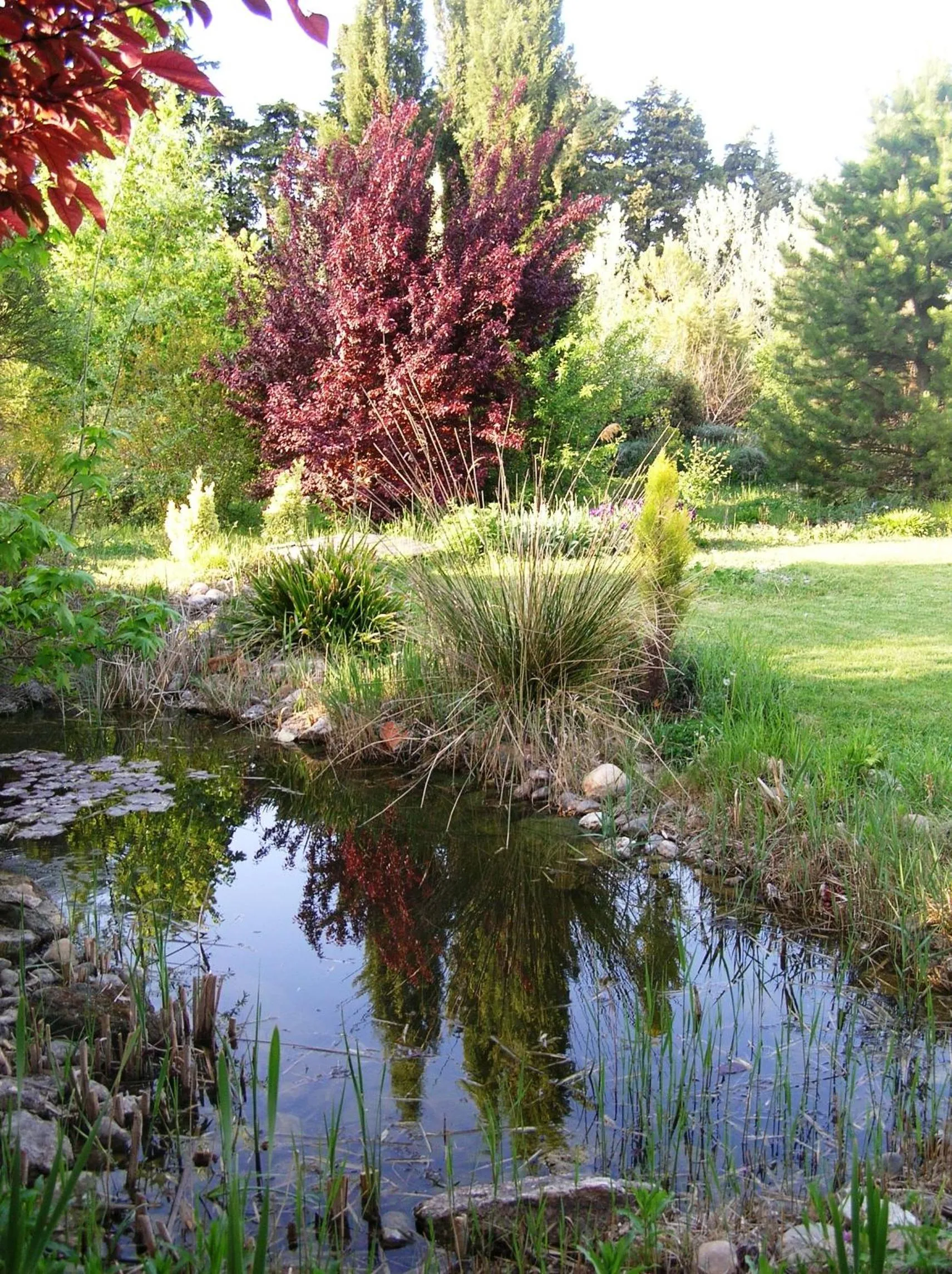 Garden view in Le Mas De La Cigale Bleue, Caumont Sur Durance