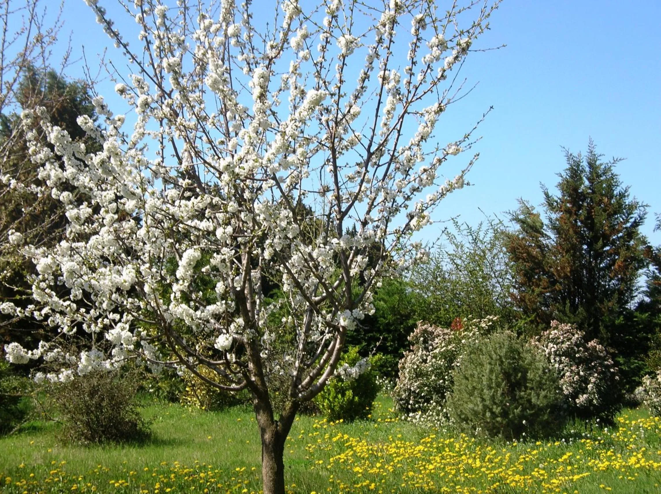 Garden view in Le Mas De La Cigale Bleue, Caumont Sur Durance