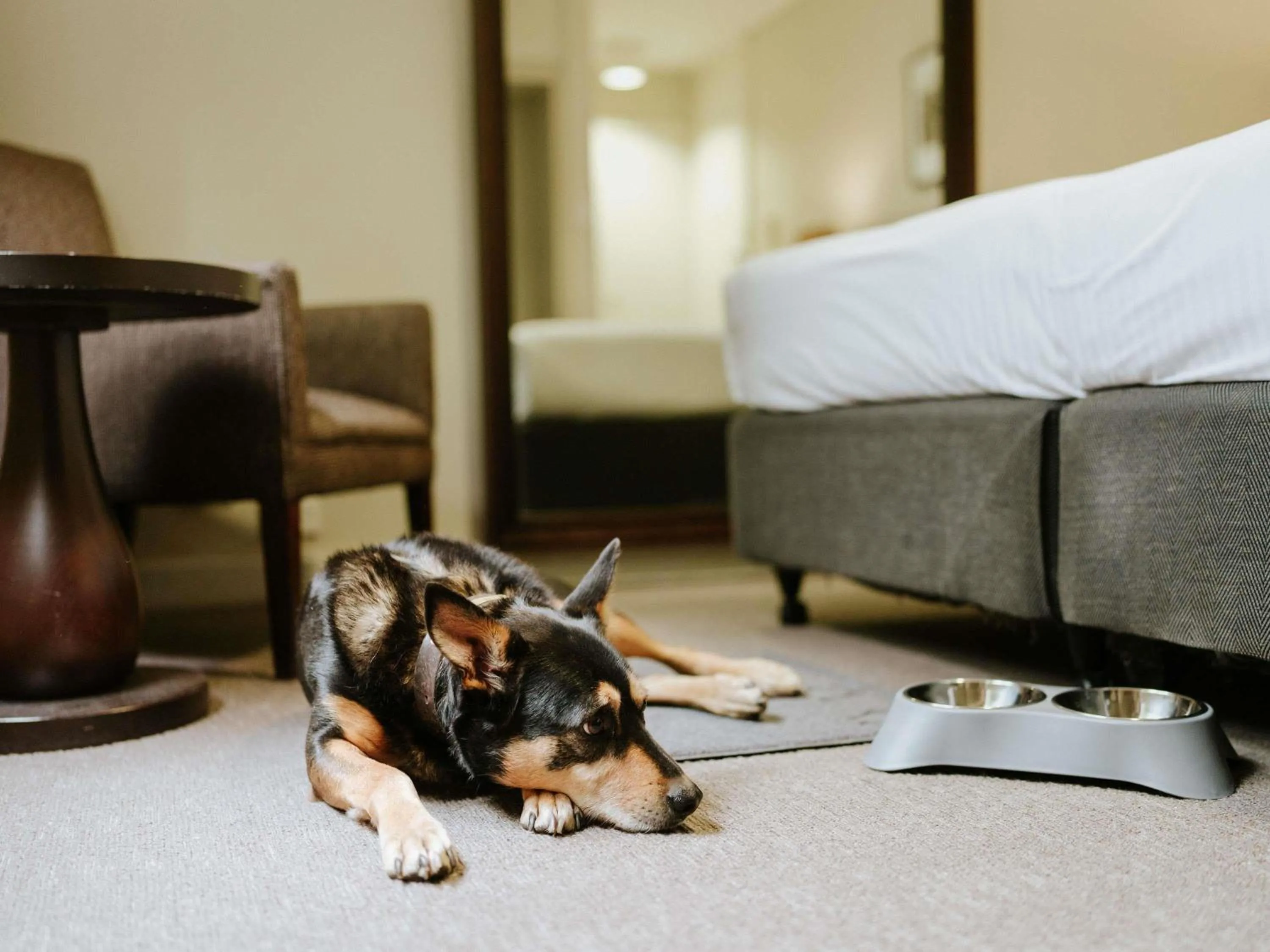 Bedroom, Bed in Peppers Craigieburn Resort