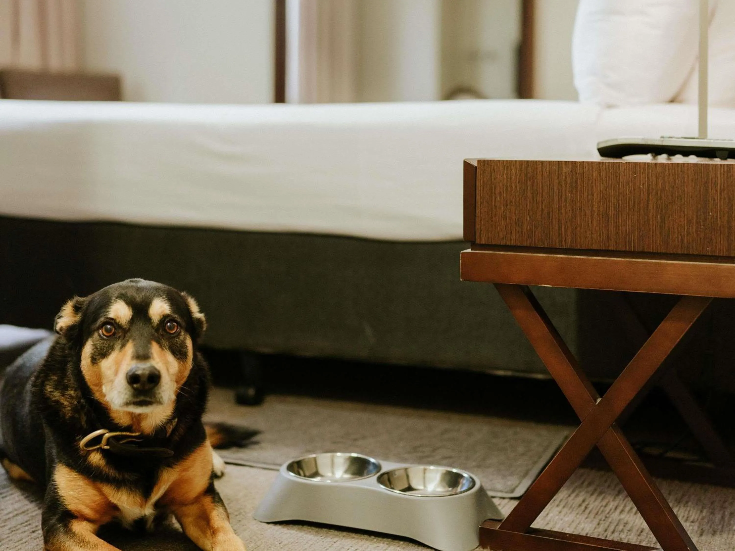 Bedroom in Peppers Craigieburn Resort