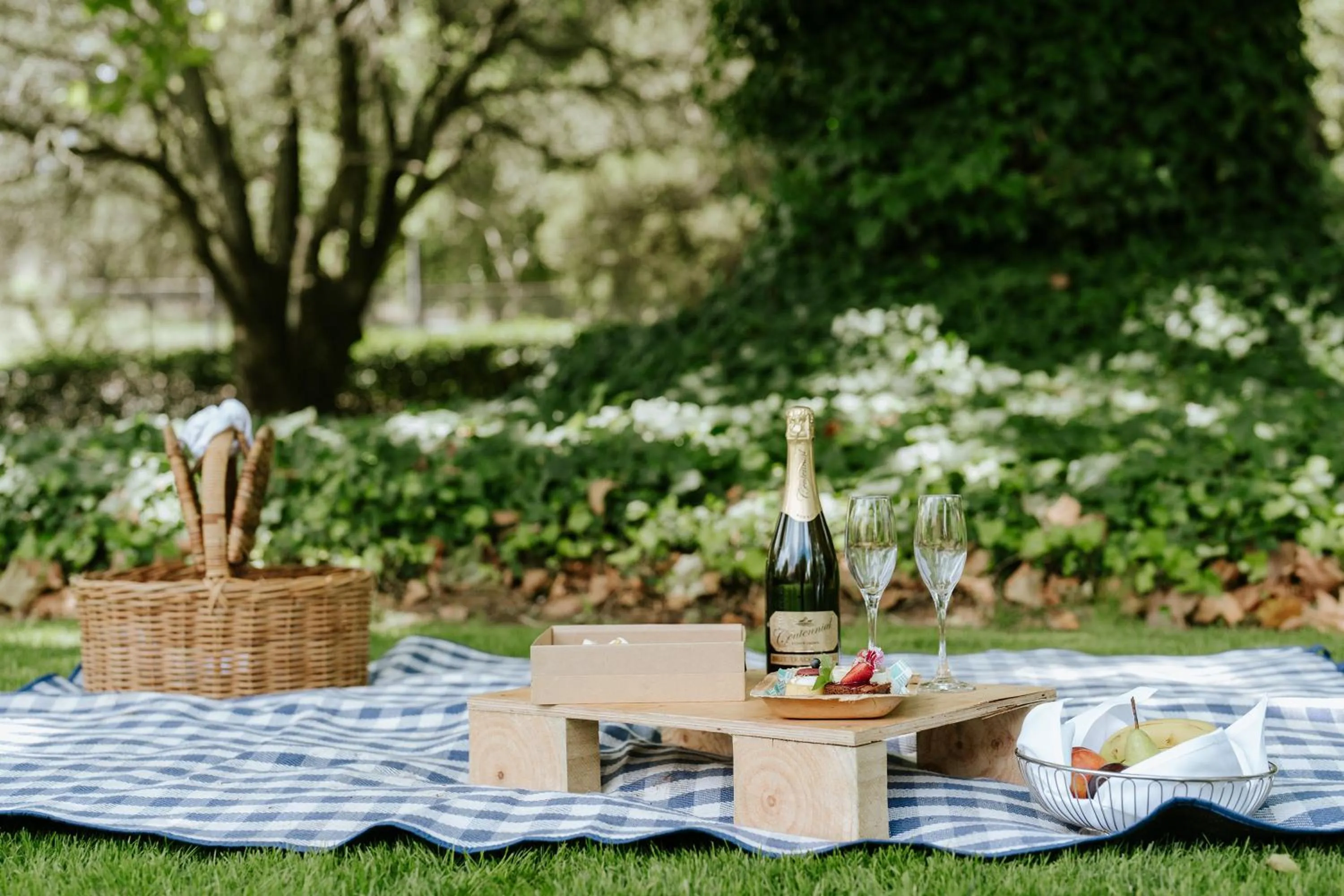 Garden in Peppers Manor House