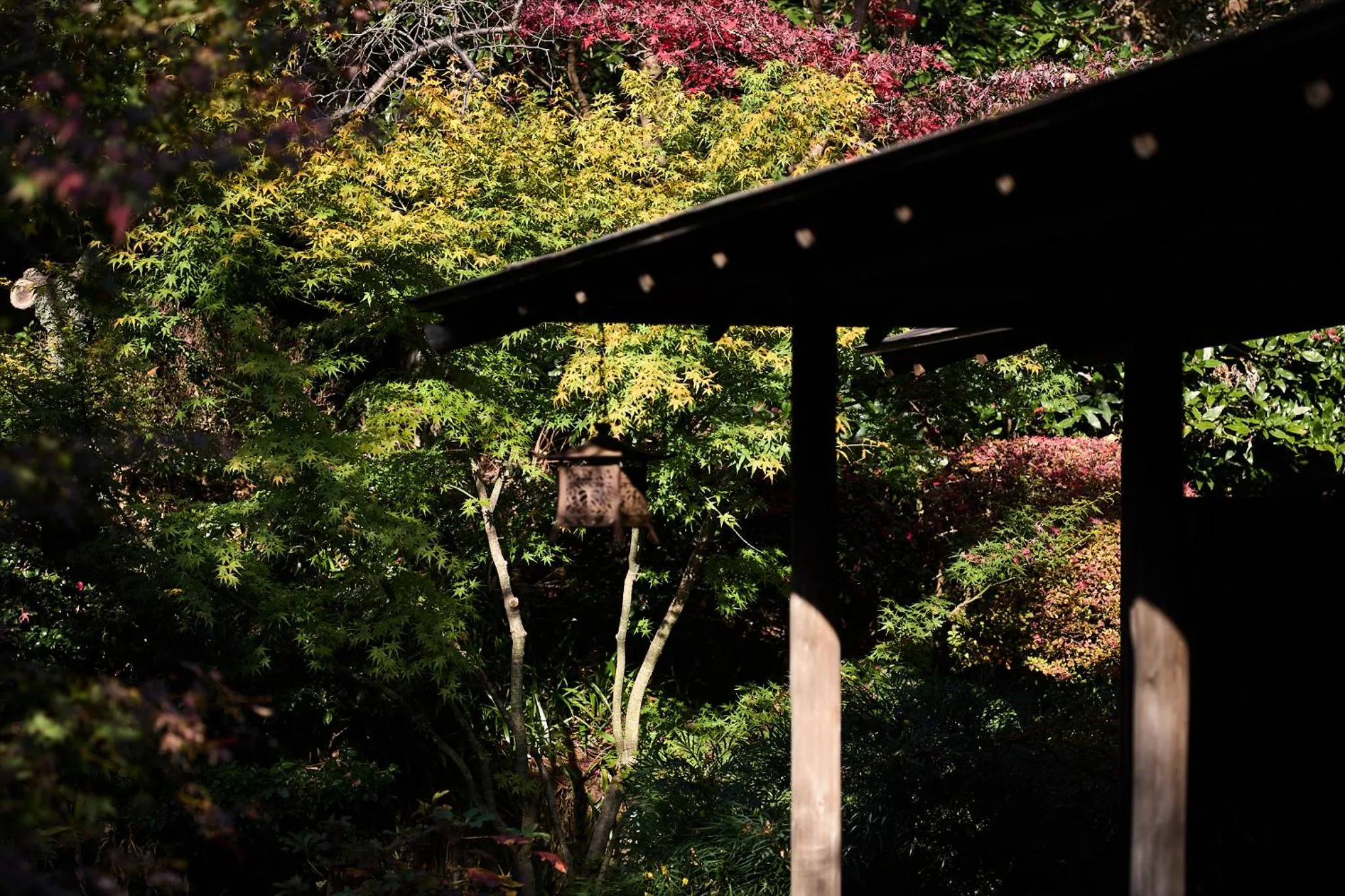 Garden in Jinya Ryokan