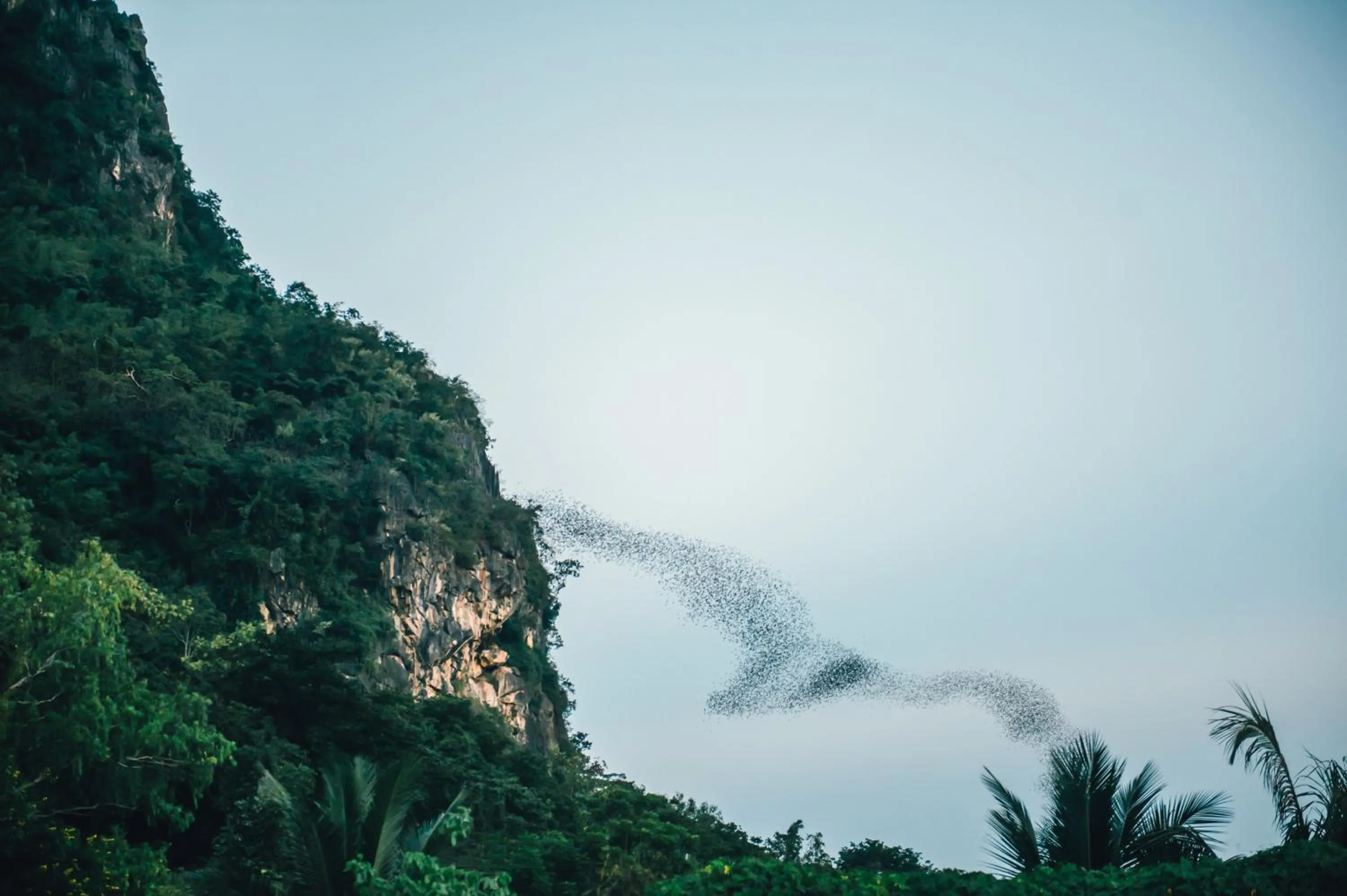 Nearby landmark in Avani Khon Kaen Hotel & Convention Centre