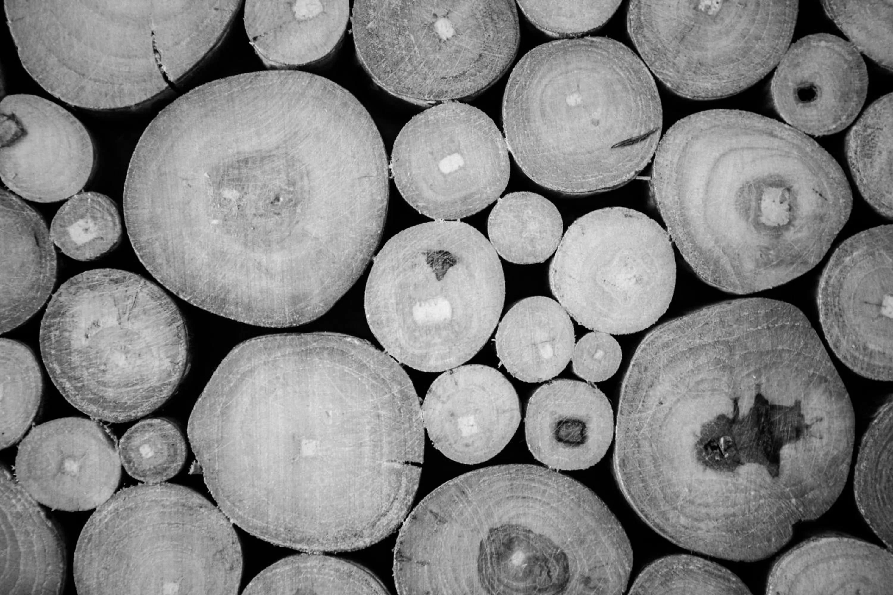 Area and facilities in Sweet Home Naxos