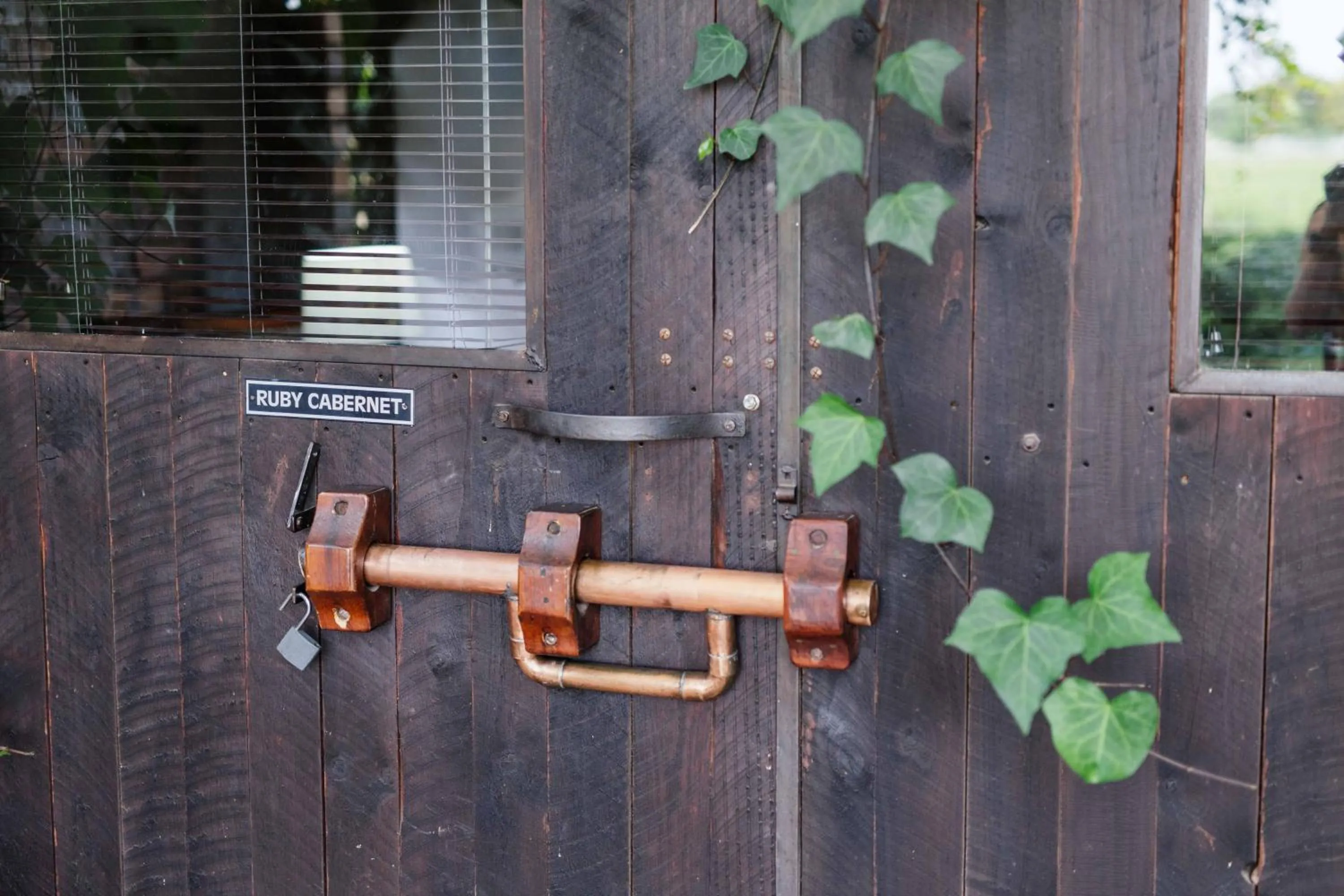 Decorative detail in Upington African Vineyard Boutique Hotel & SPA