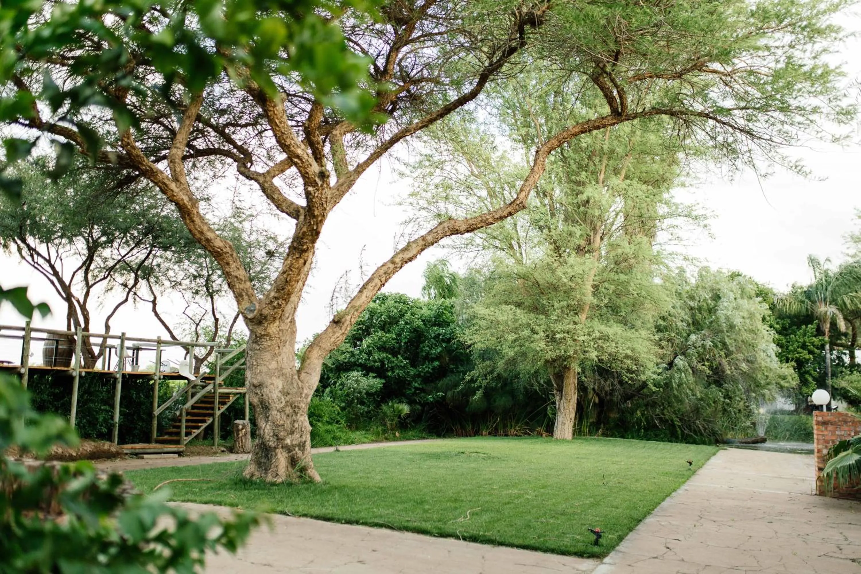 Patio in Upington African Vineyard Boutique Hotel & SPA