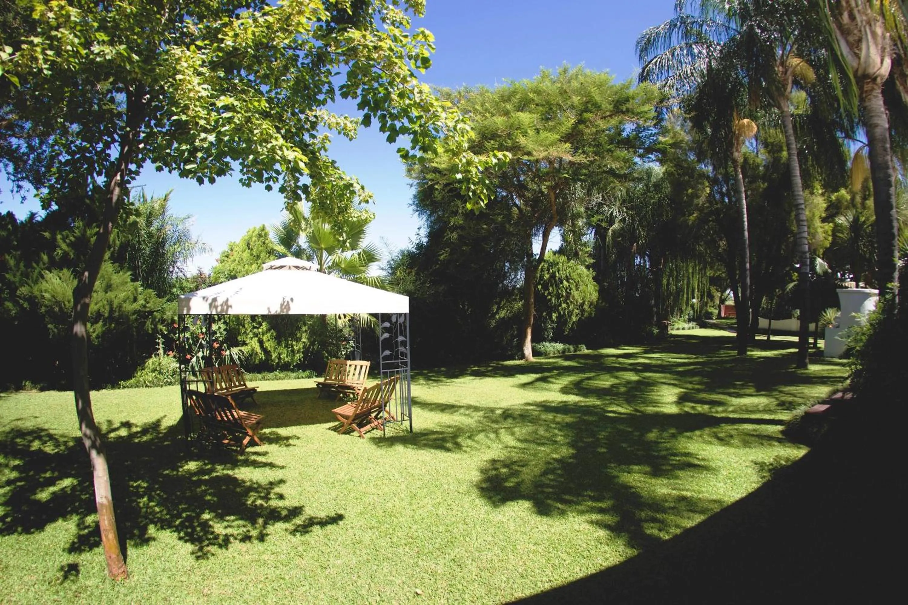 Garden view in Upington African Vineyard Boutique Hotel & SPA