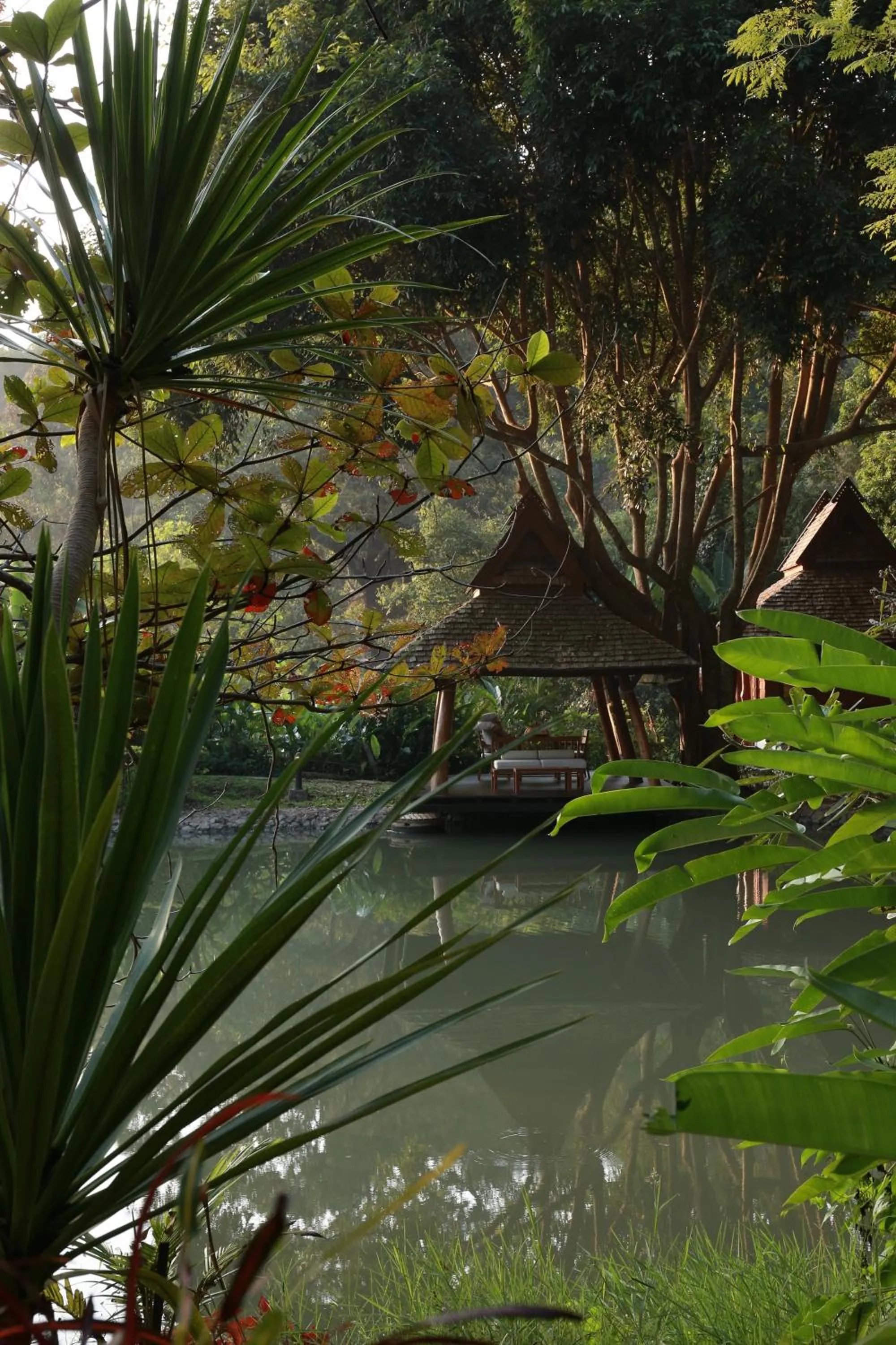 View (from property/room) in Vanilla hill (hill lodge)