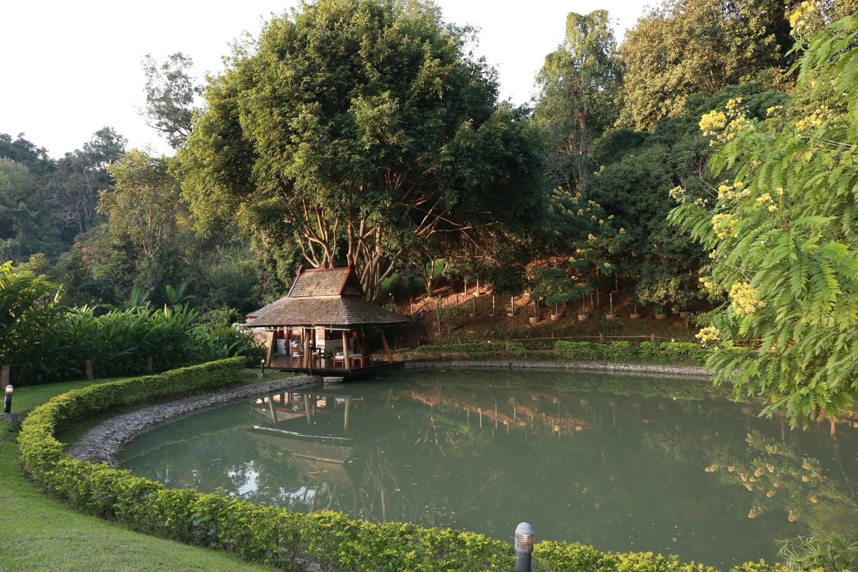 Garden in Vanilla hill (hill lodge)