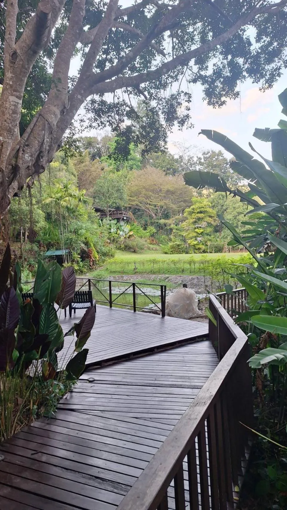 Vanilla hill (hill lodge)