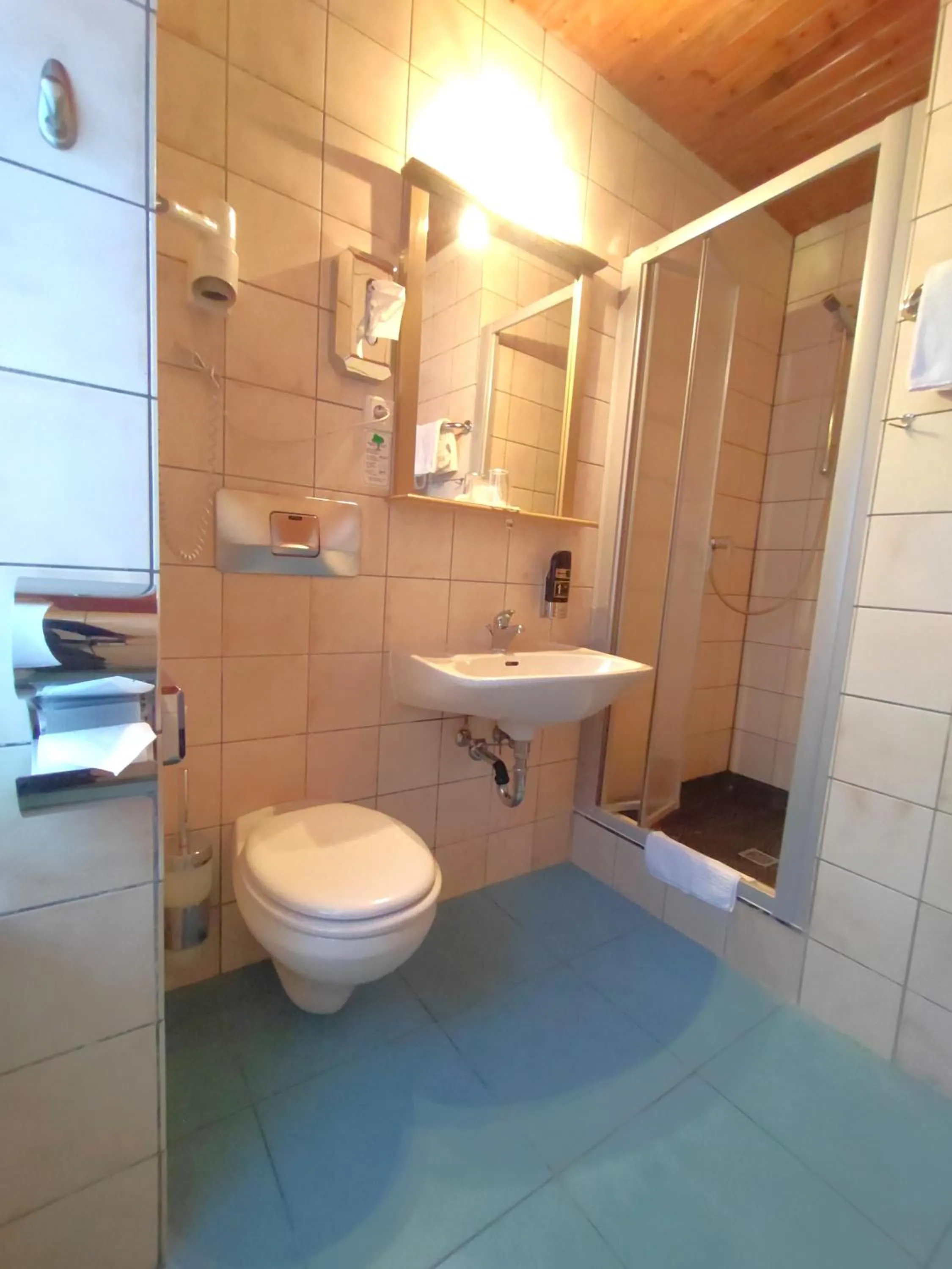 Shower in Hotel Smart-Inn