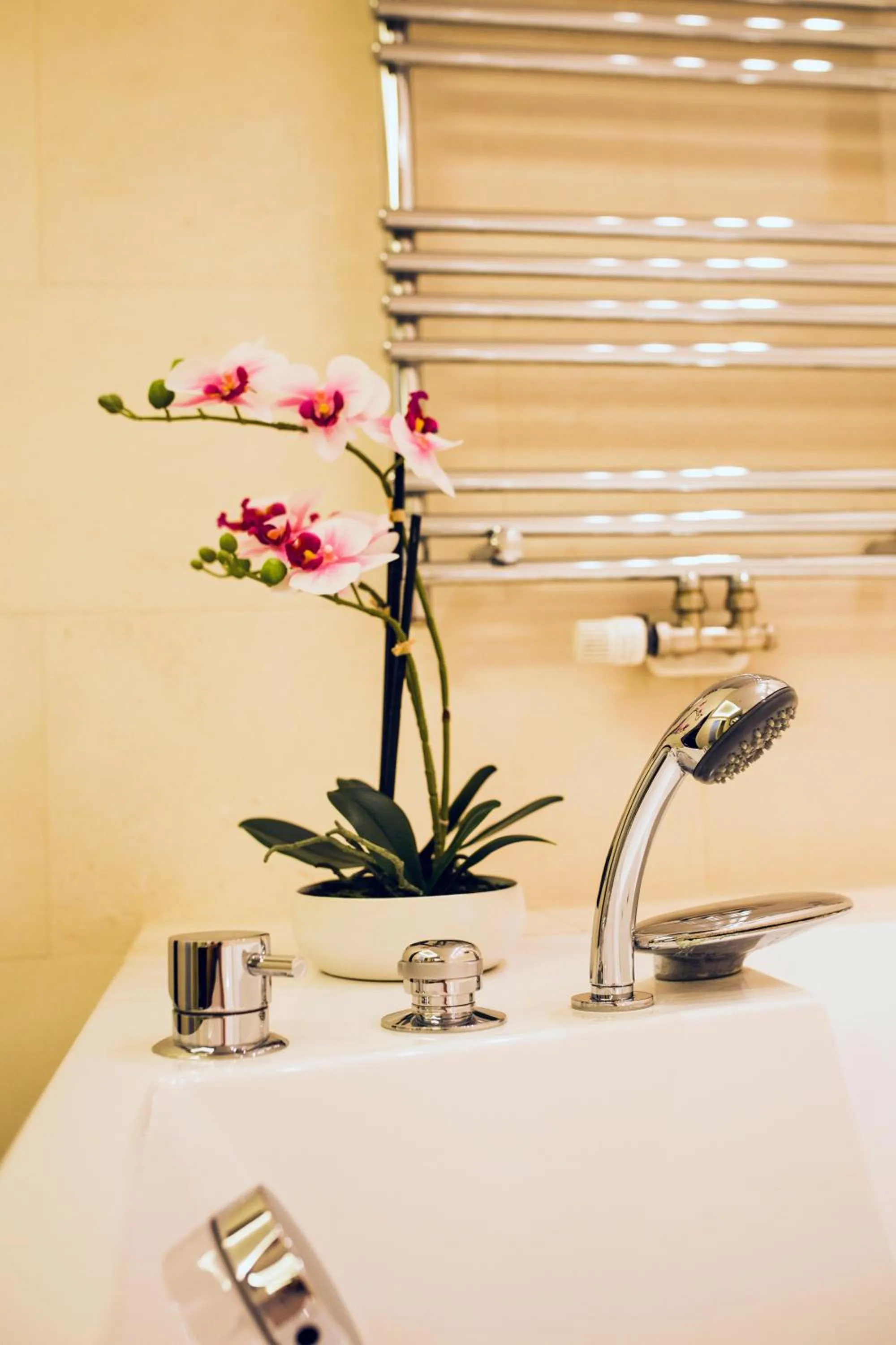 Bathroom in Hotel Residence