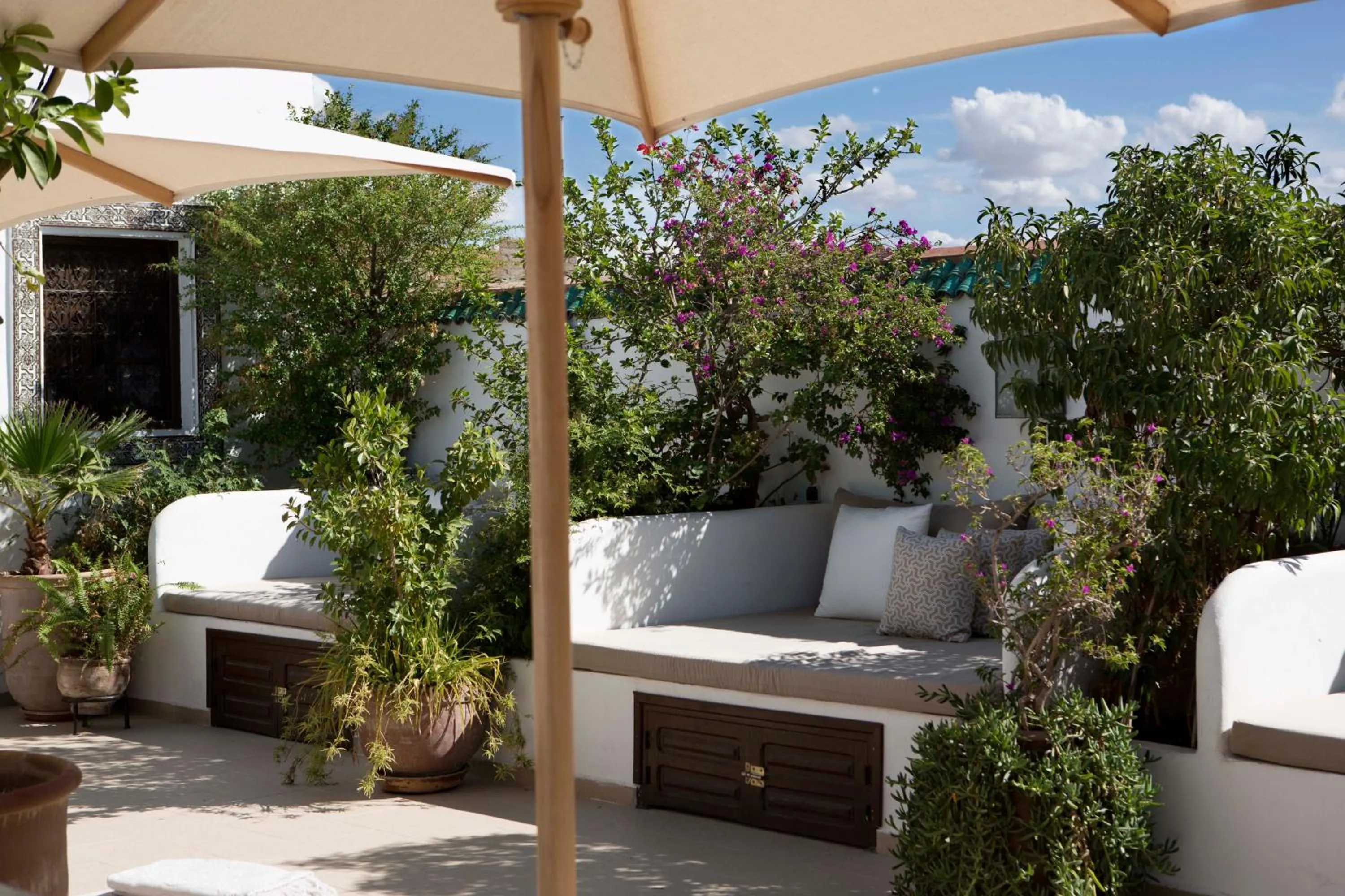 Balcony/Terrace in Riad Dar Alfarah