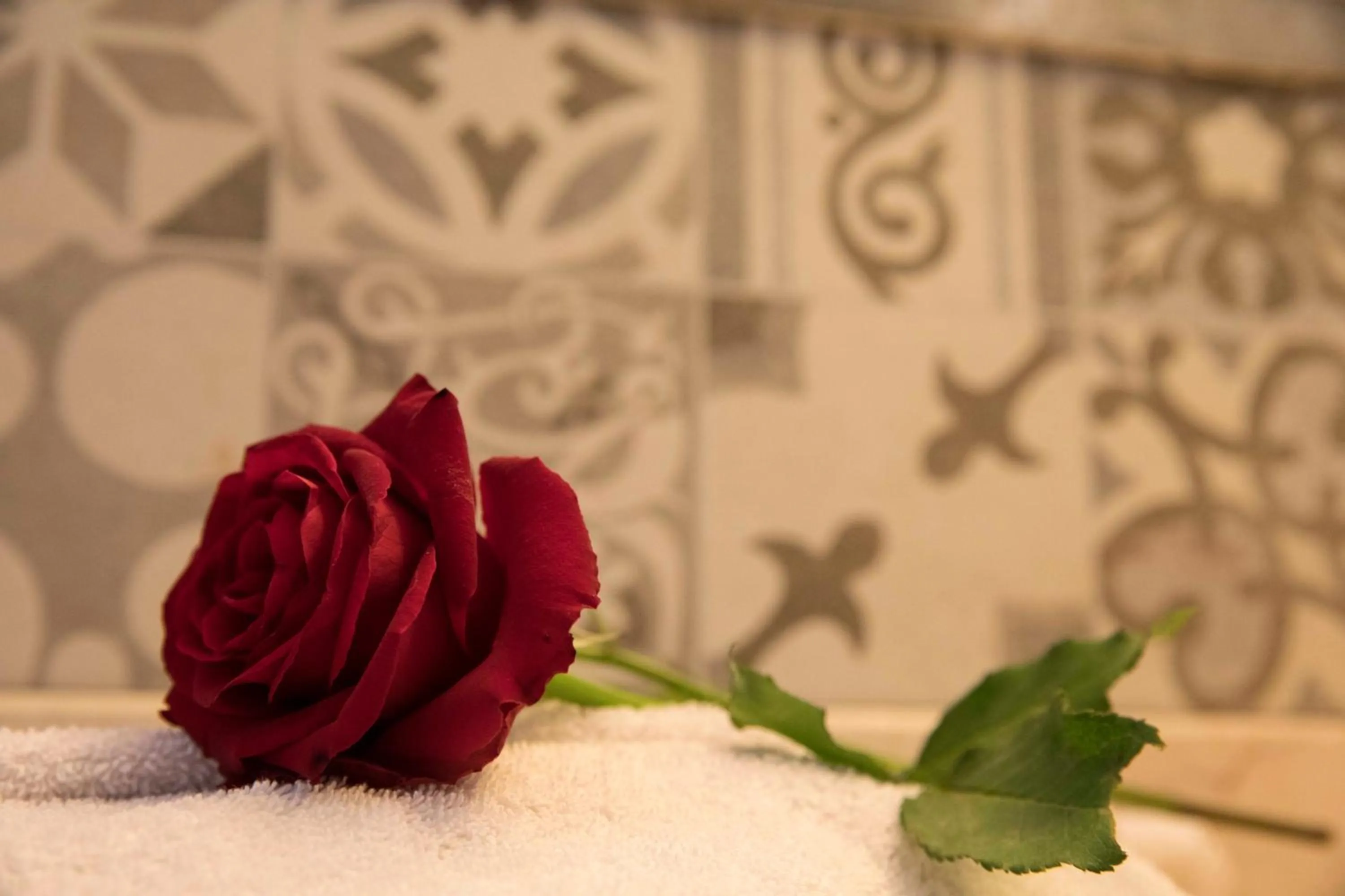 Bathroom in Riad Dar Alfarah