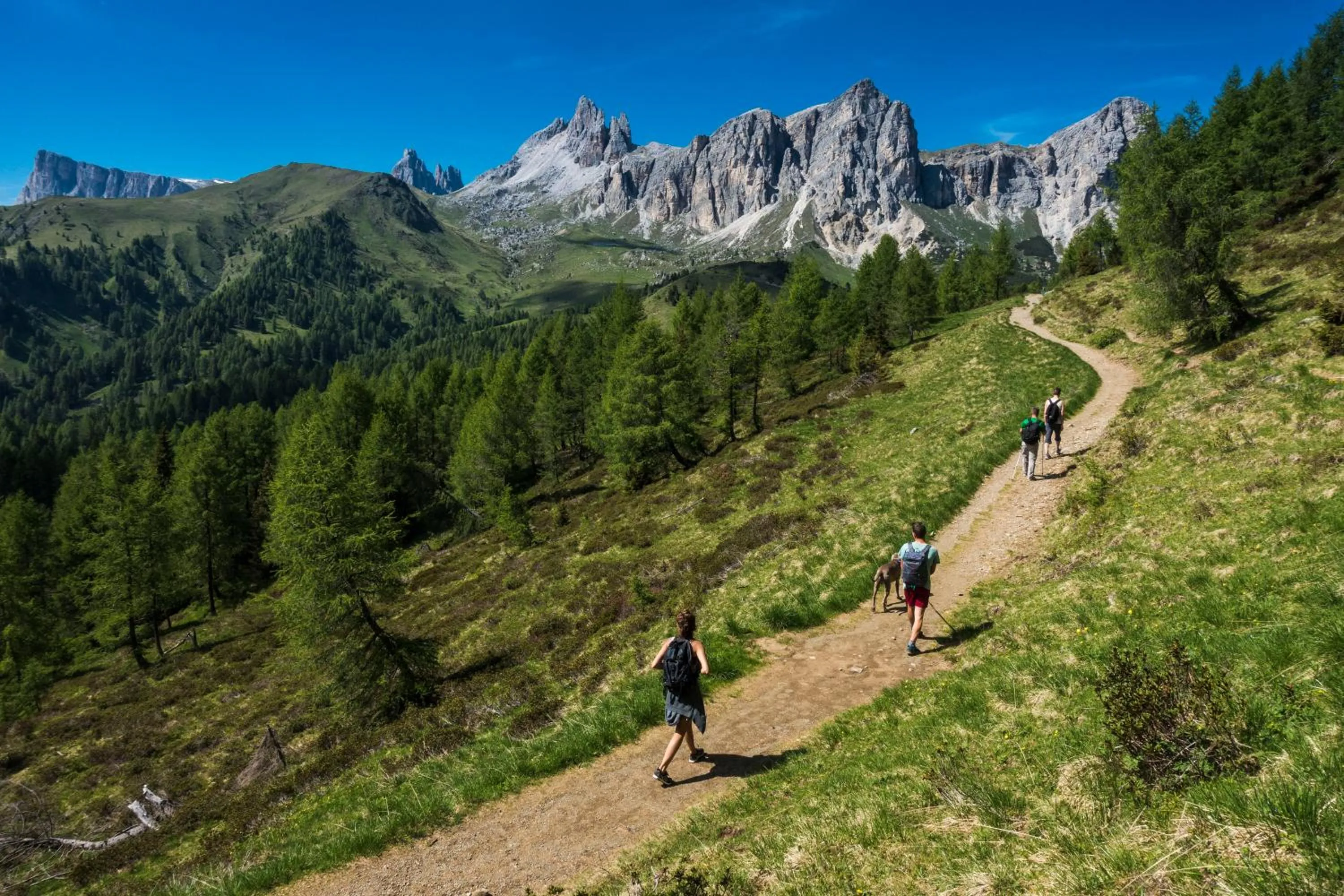 FIORI Dolomites Experience Hotel