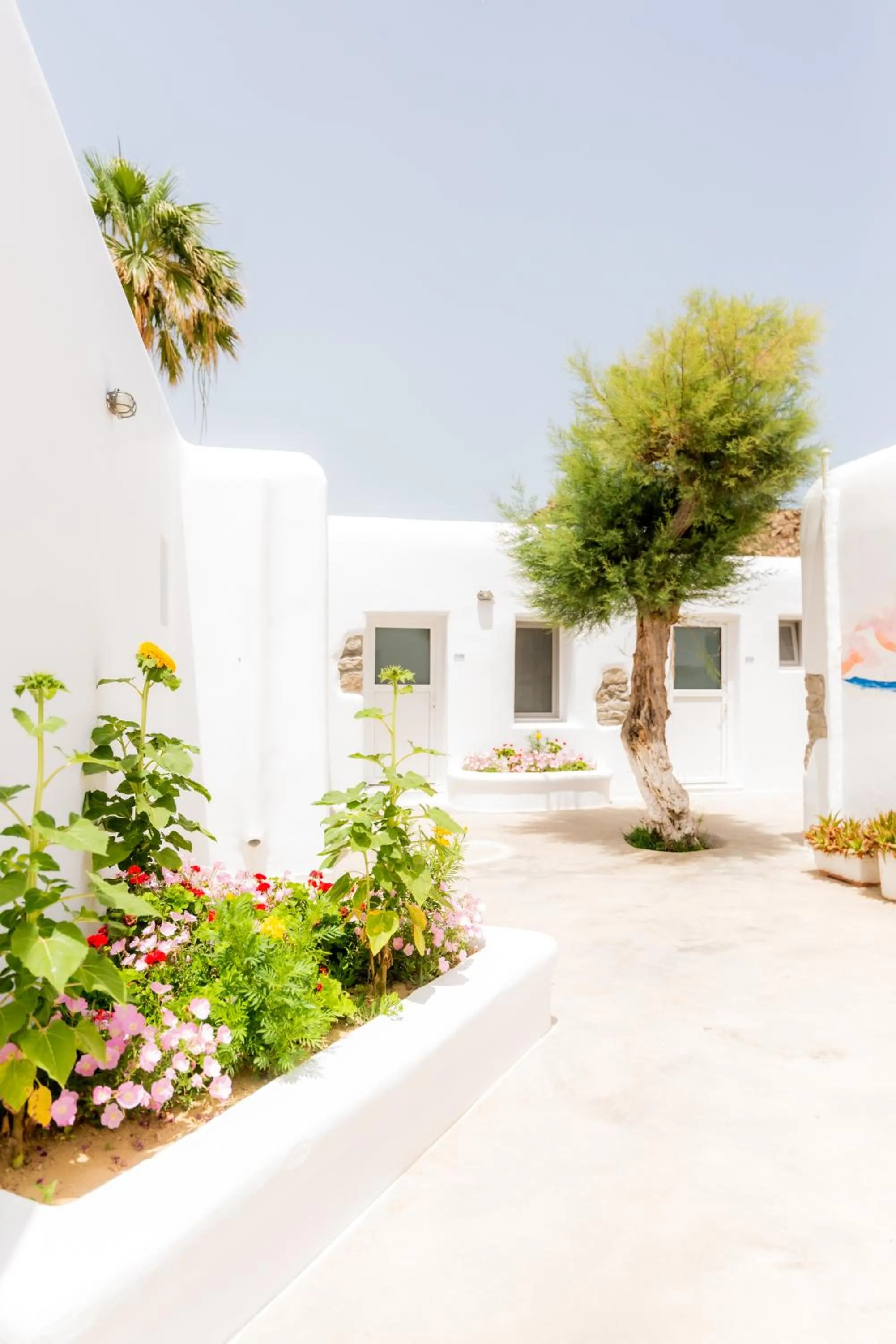 Garden view in Paradise Beach Resort