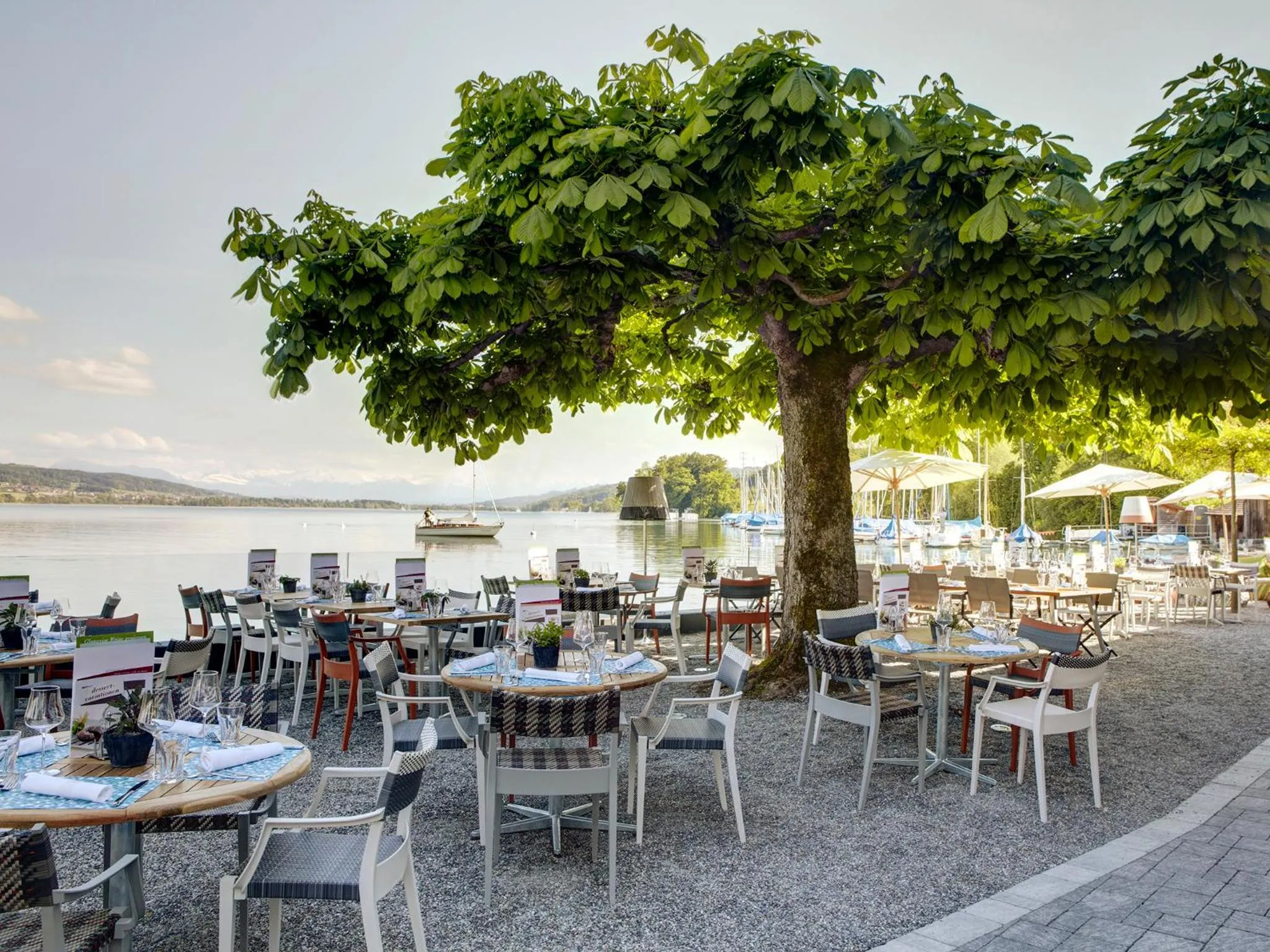 Restaurant/places to eat in Hotel-Restaurant-Schifflände