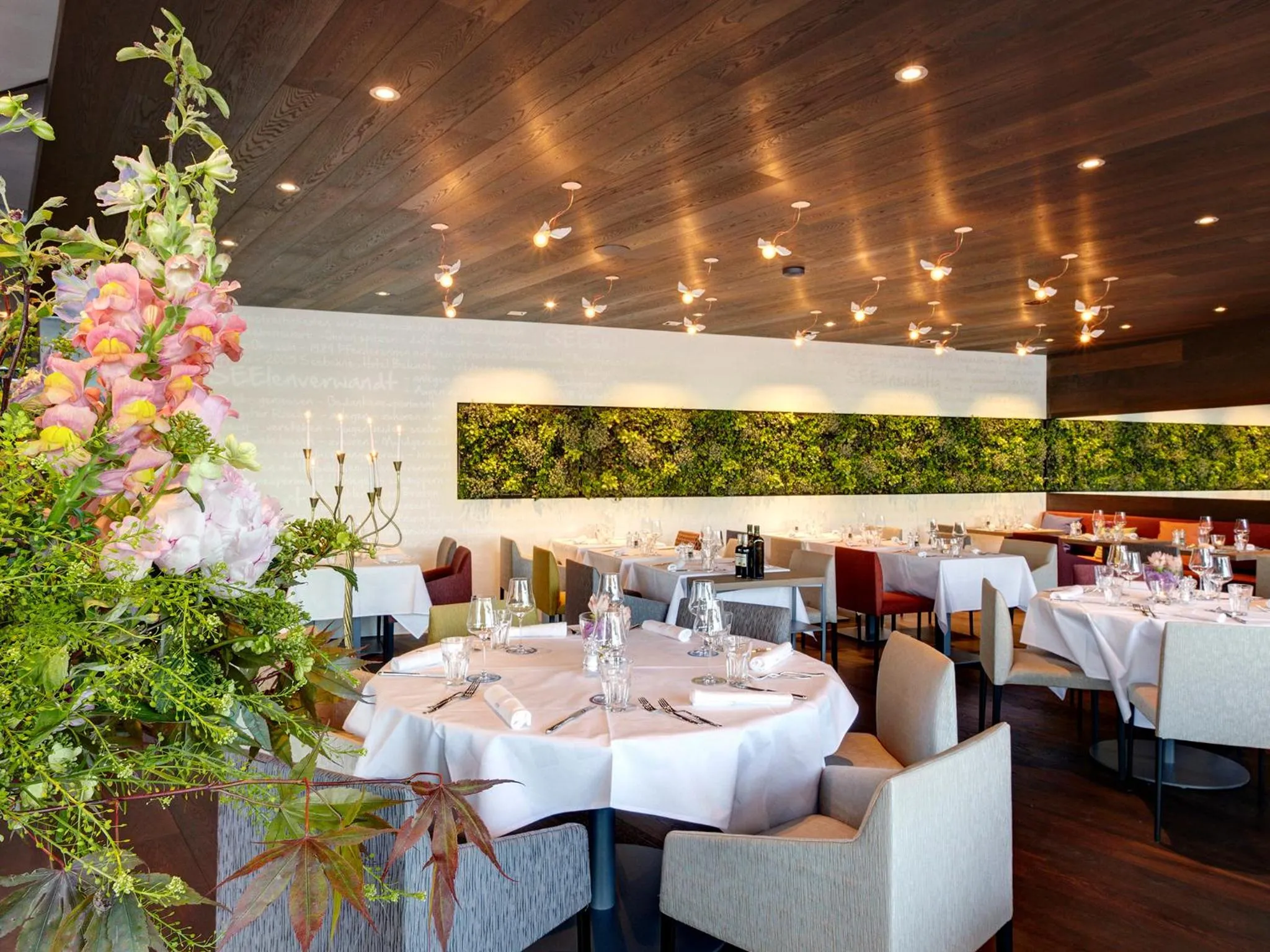 Restaurant/places to eat in Hotel-Restaurant-Schifflände