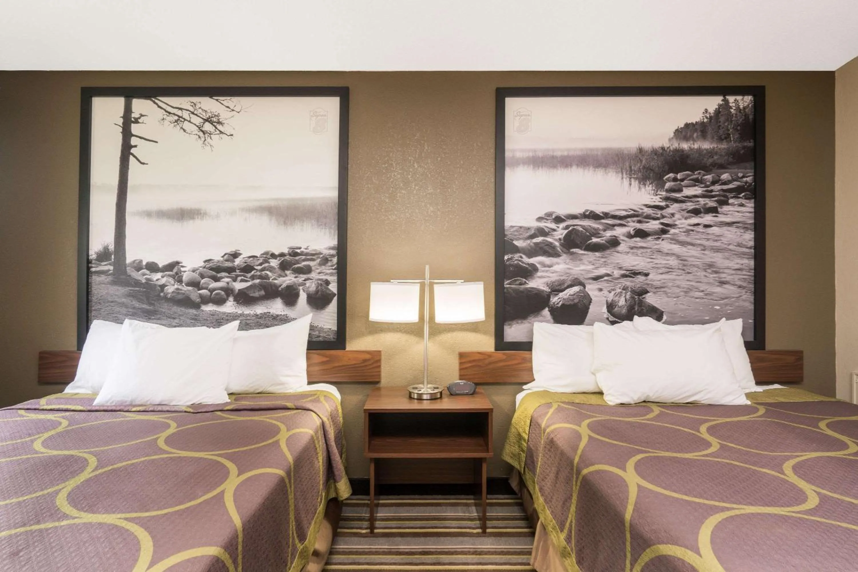 Photo of the whole room, Bed in Super 8 by Wyndham St. Cloud