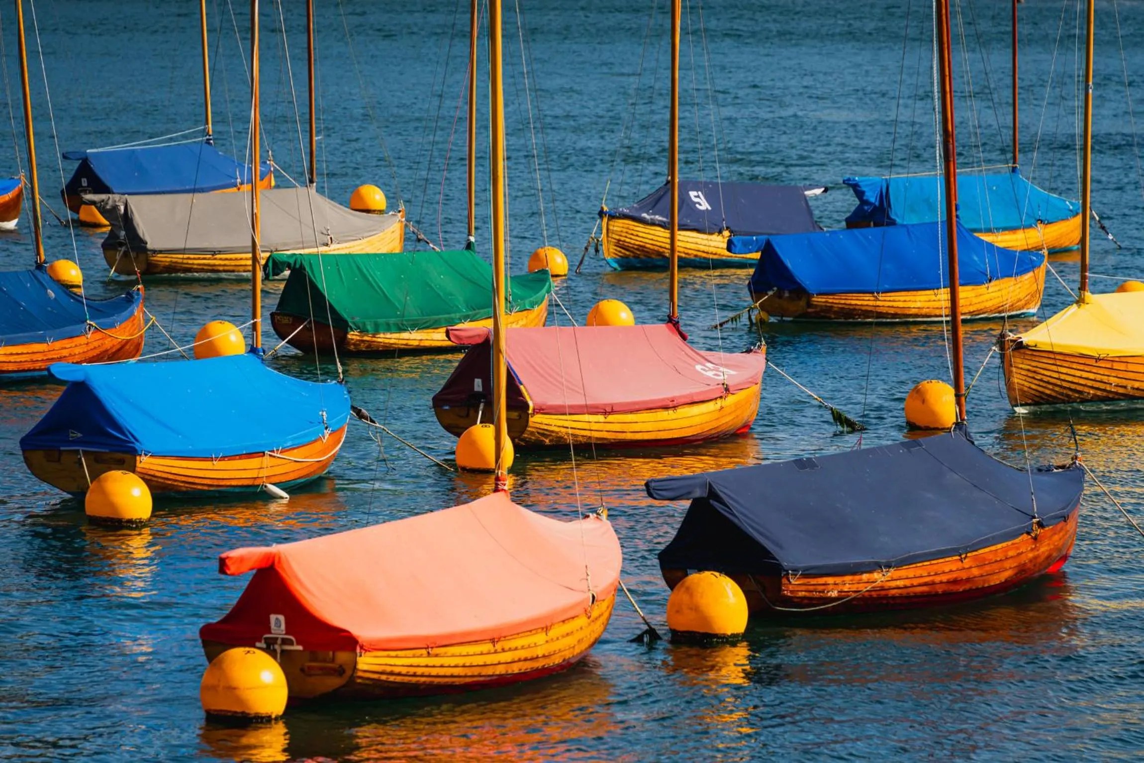 Natural landscape in The Old Quay House Hotel