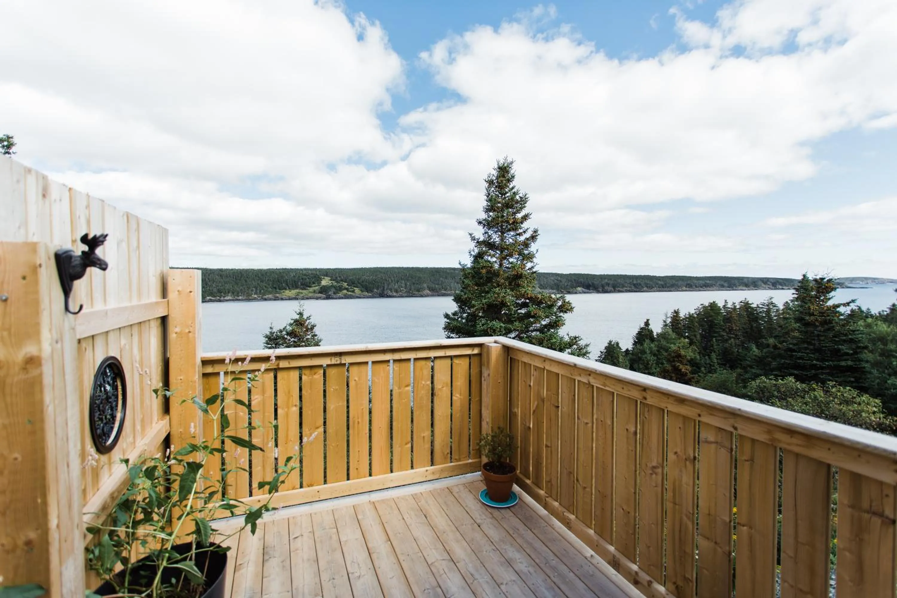 Day in Whale House Guest House